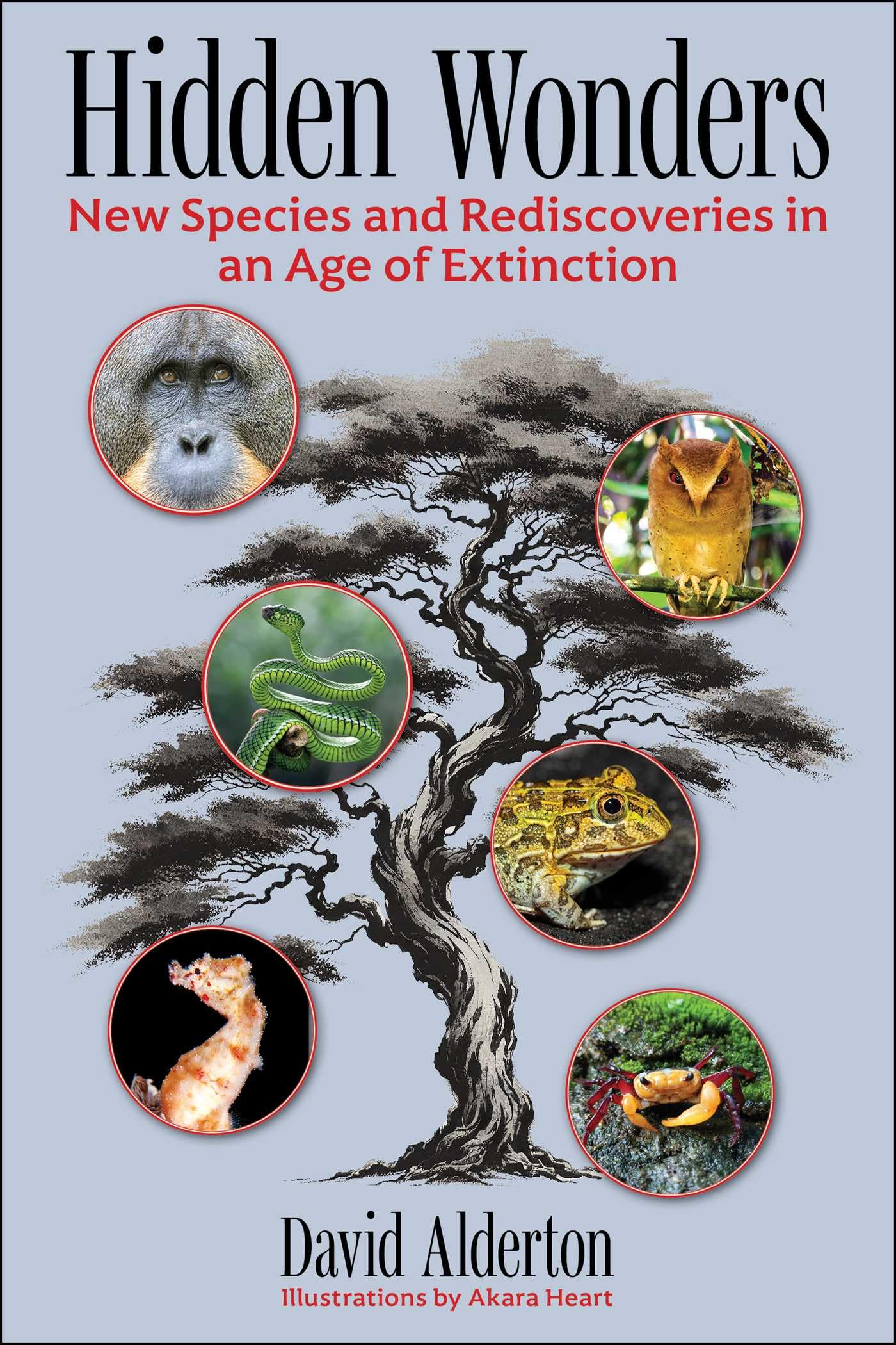 Hidden Wonders: New Species And Rediscoveries In An Age Of Extinction