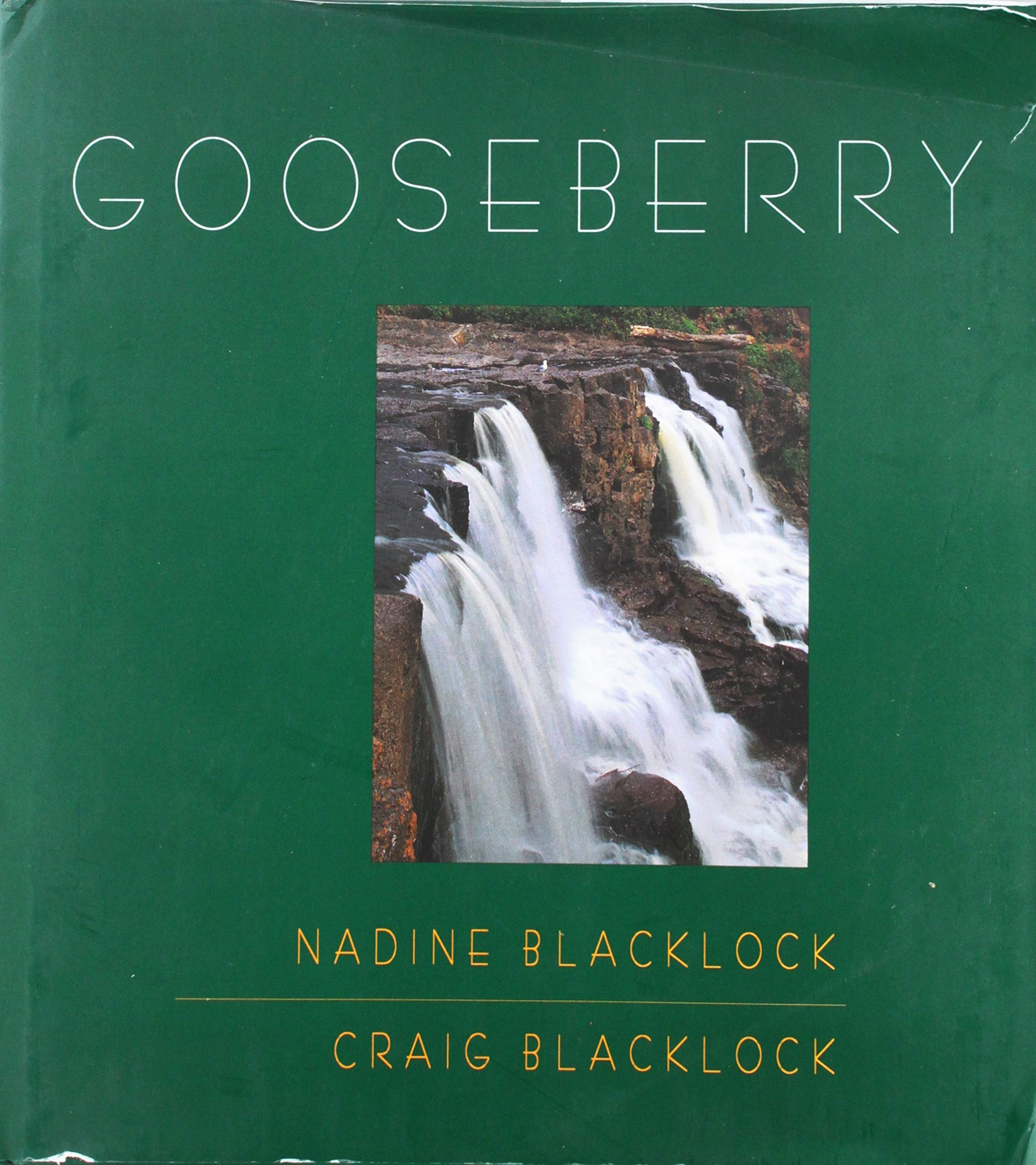 Gooseberry,Used