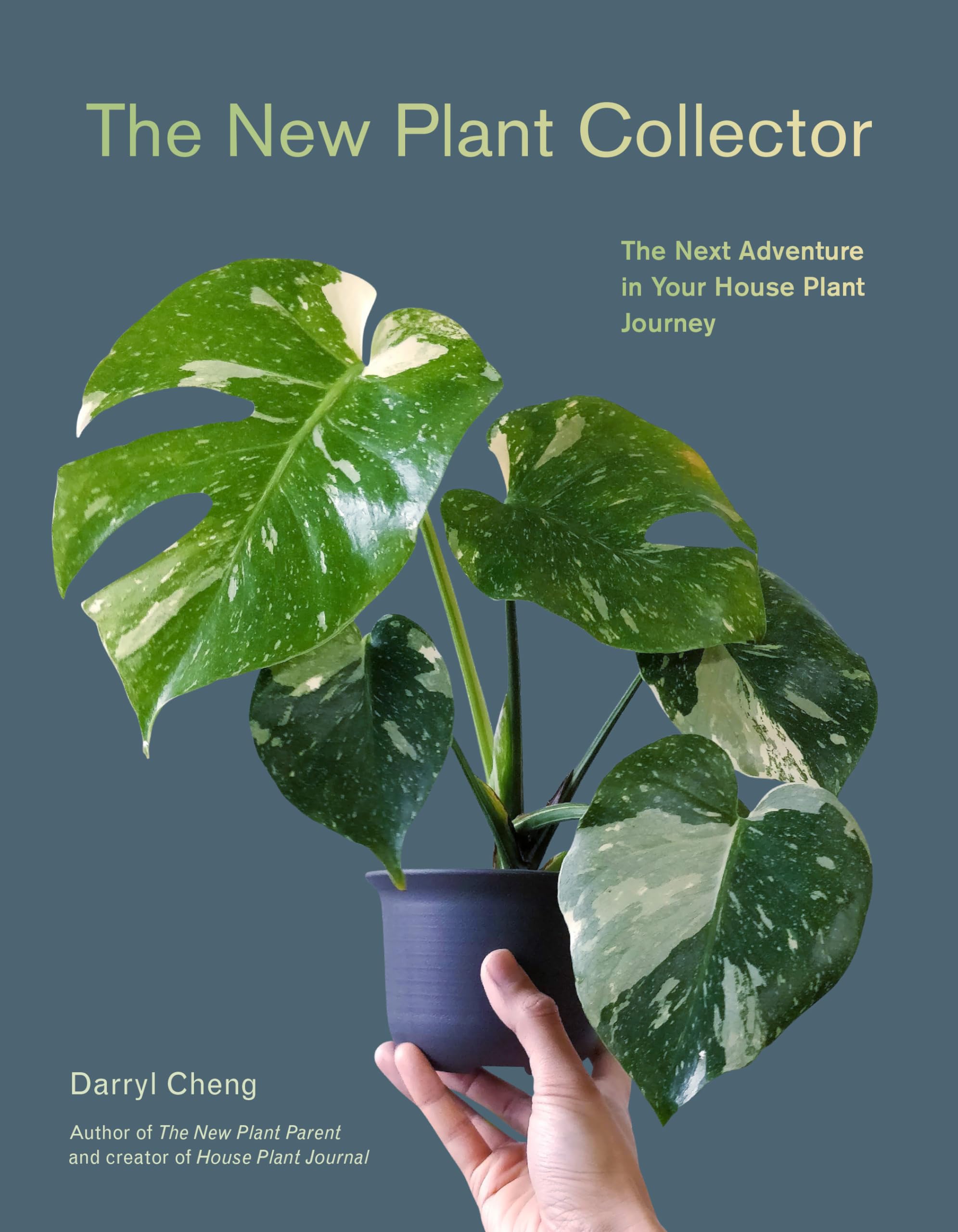 The New Plant Collector: The Next Adventure In Your House Plant Journey,Used