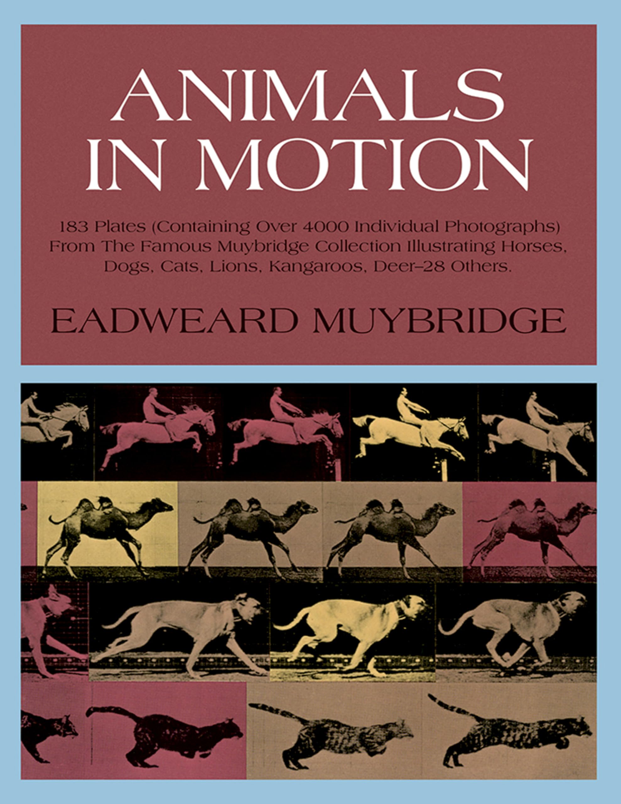 Animals In Motion (Dover Anatomy For Artists),Used