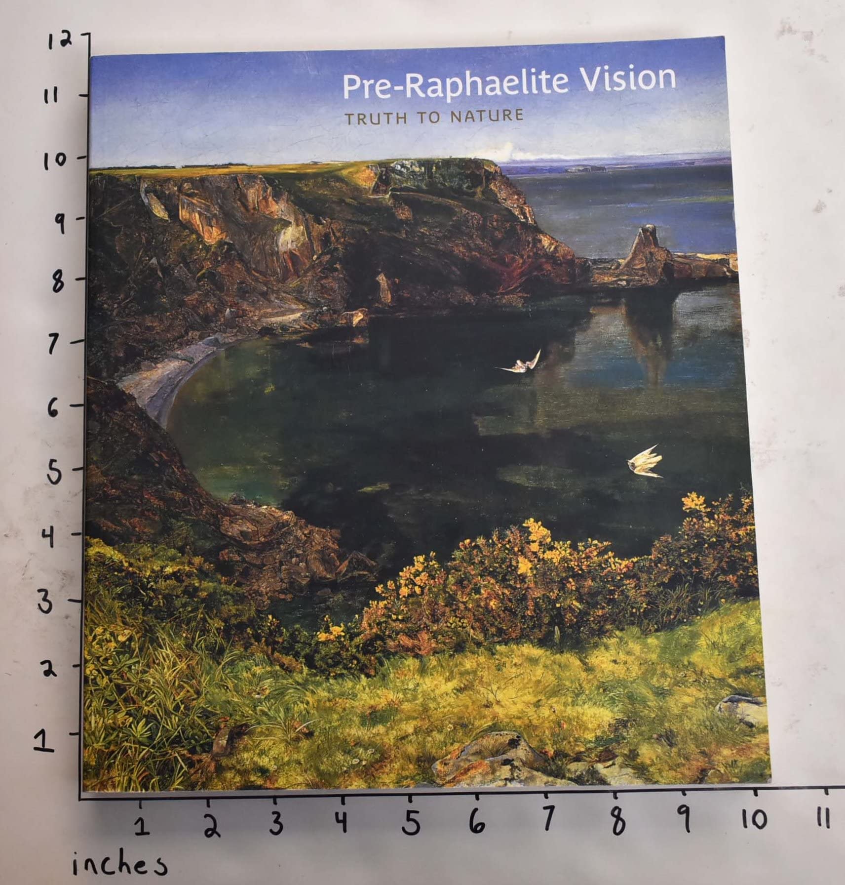 PreRaphaelite Vision: Truth to Nature,Used
