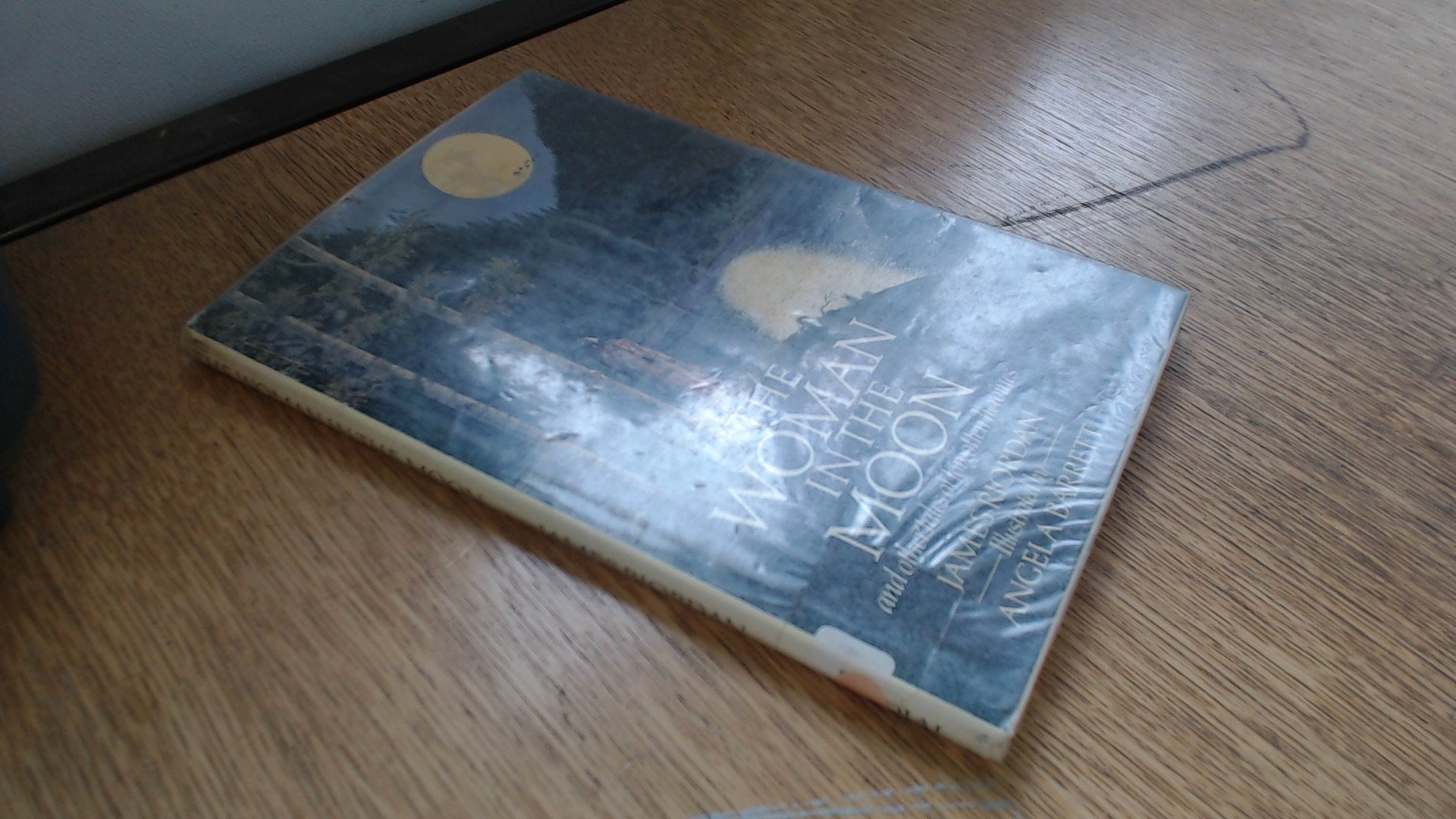 The Woman In The Moon And Other Tales Of Forgotten Heroines