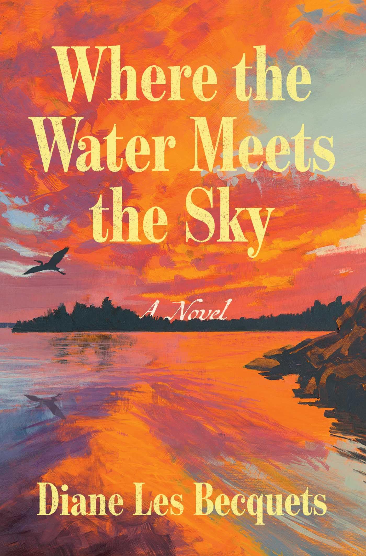 Where The Water Meets The Sky: A Novel