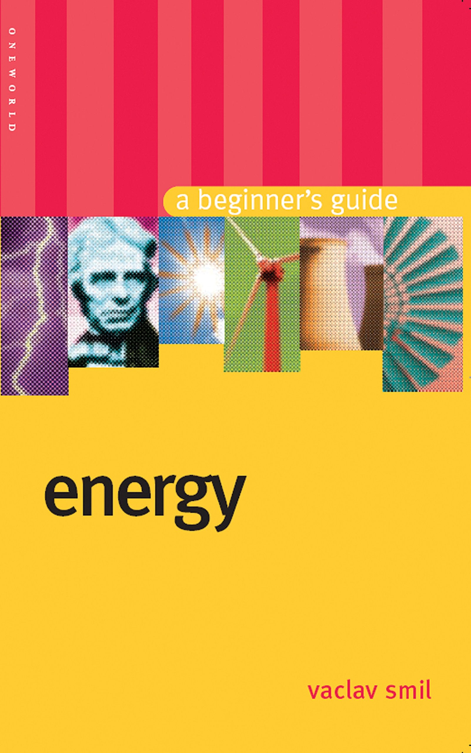 Energy: A Beginner's Guide (Beginner's Guides),Used