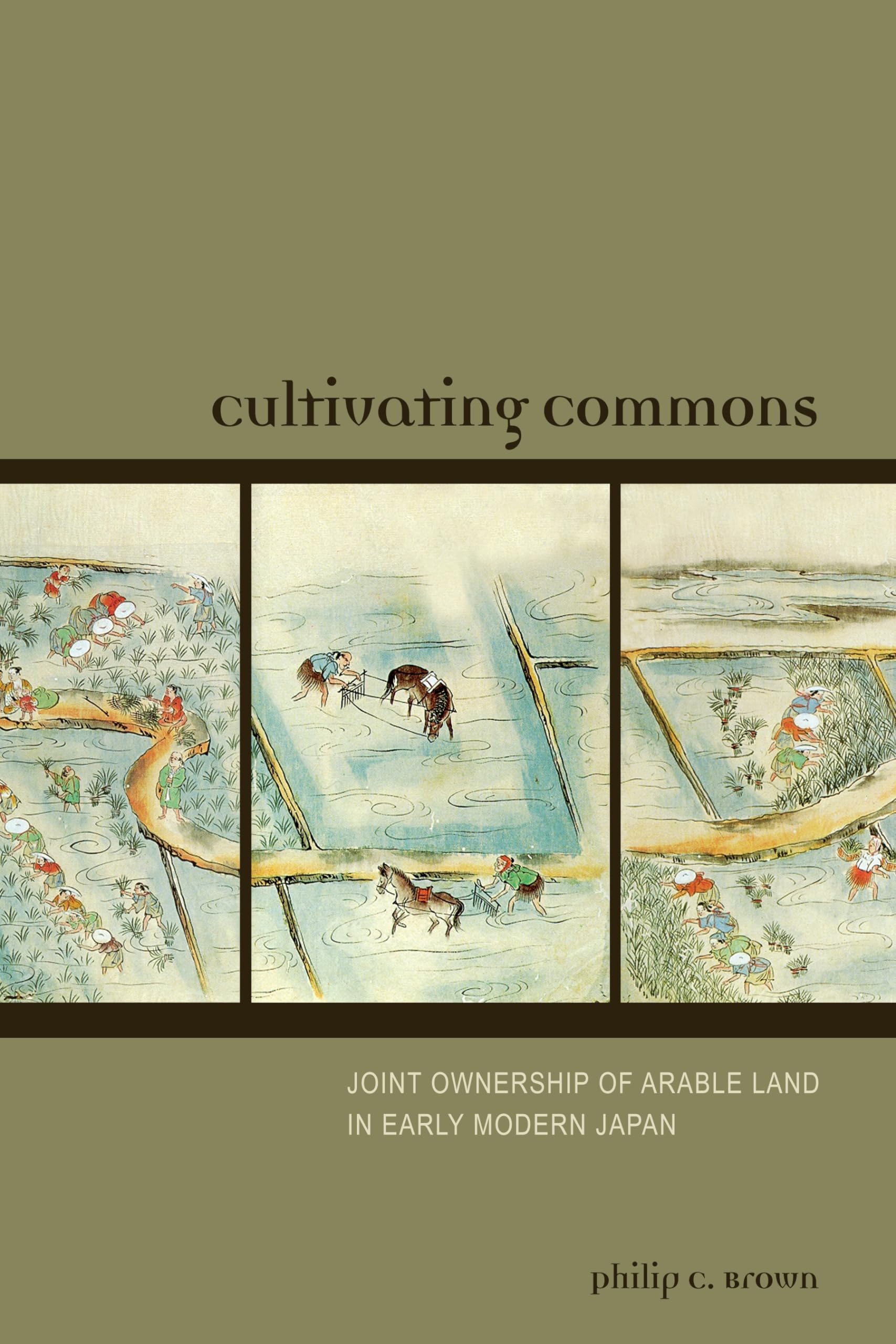 Cultivating Commons: Joint Ownership of Arable Land in Early Modern Japan,Used