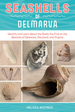 Seashells Of Delmarva: Identify And Learn About The Shells You Find On The Beaches Of Delaware, Maryland, And Virginia (Identify