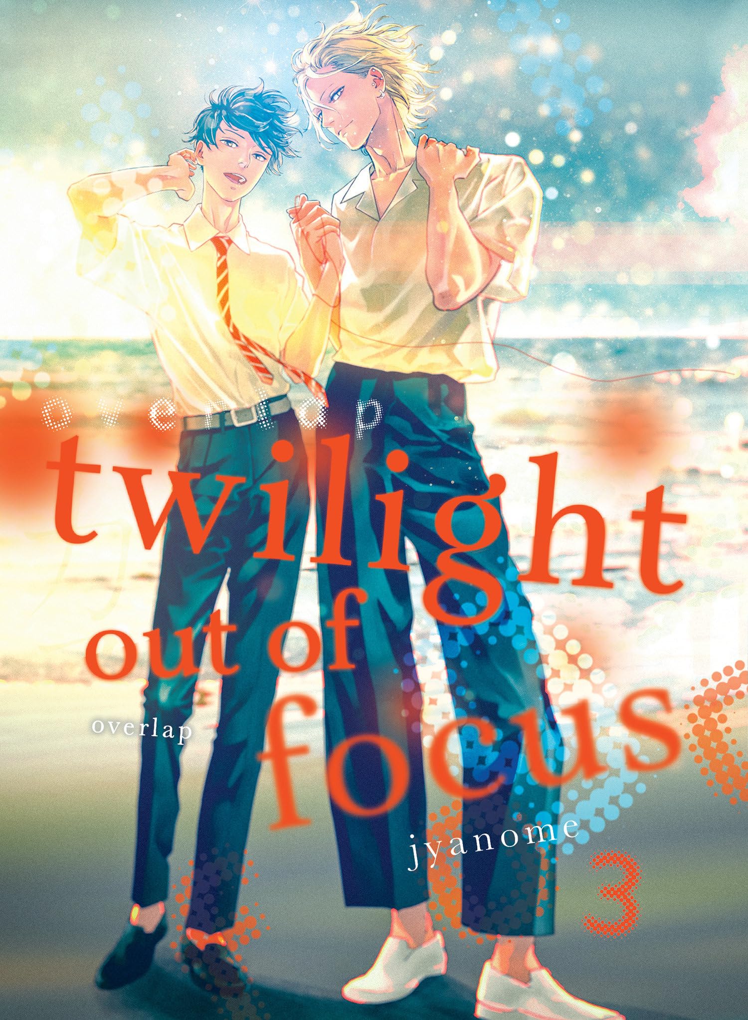 Twilight Out Of Focus 3: Overlap,Used
