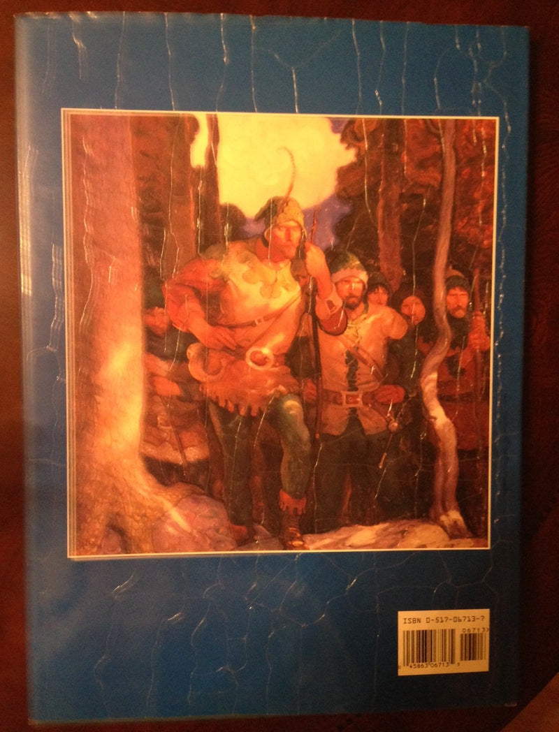 N. C. Wyeth: American Art Series,Used
