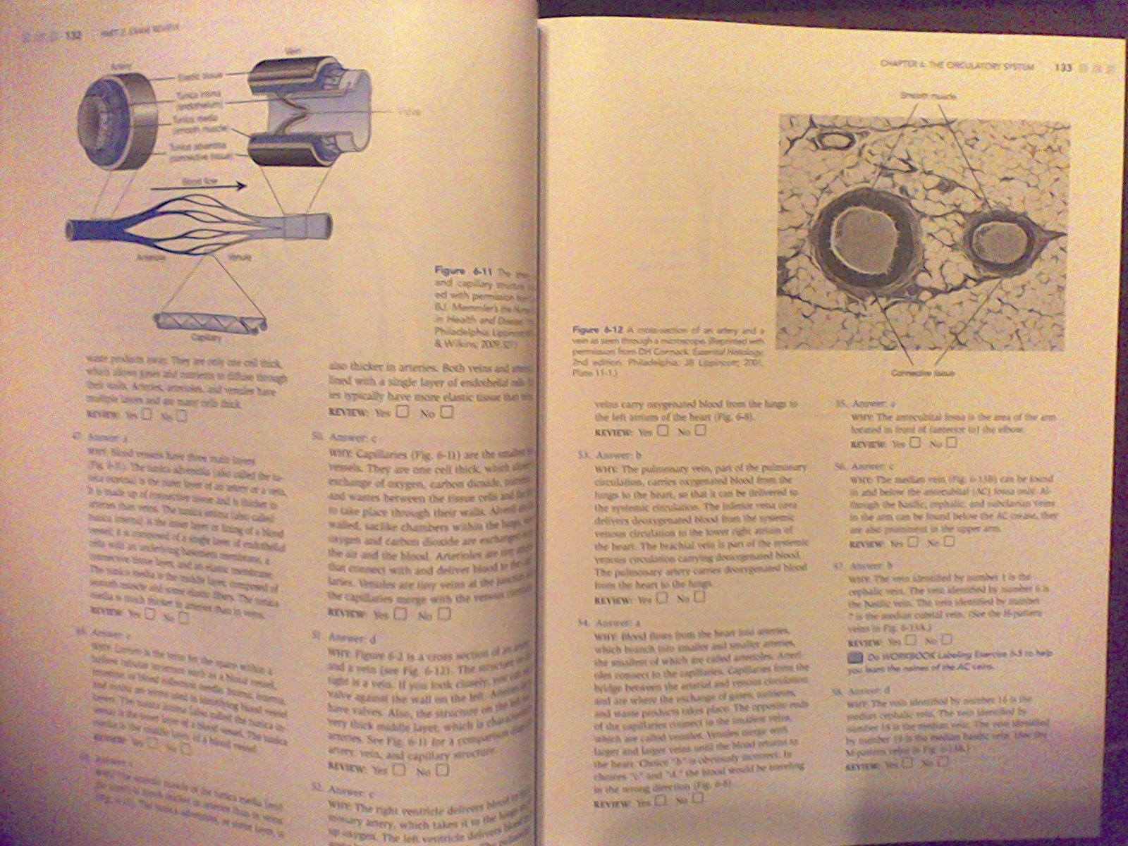 Phlebotomy Exam Review,Used