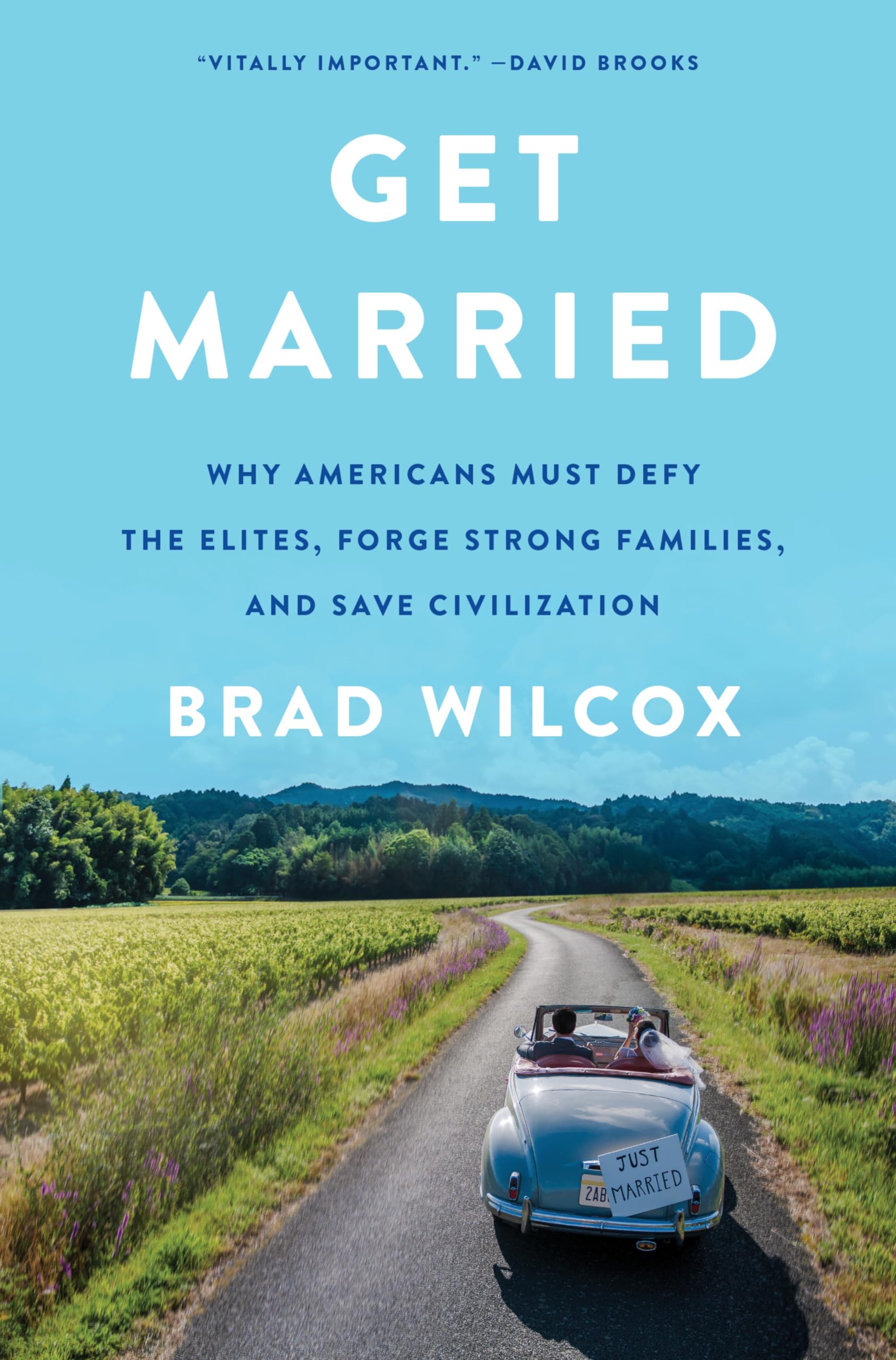Get Married: Why Americans Must Defy The Elites, Forge Strong Families, And Save Civilization,Used