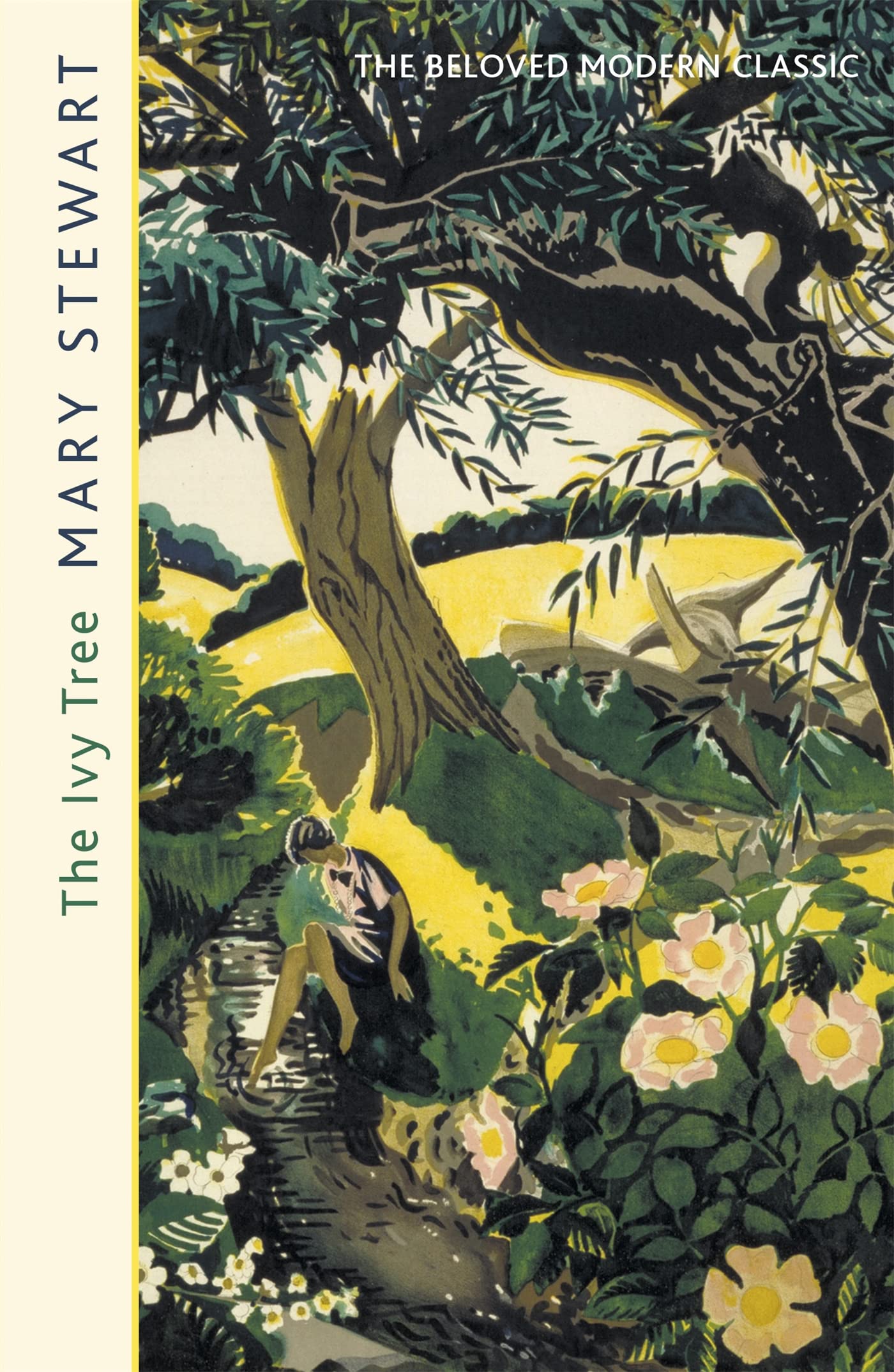 Ivy Tree,Used
