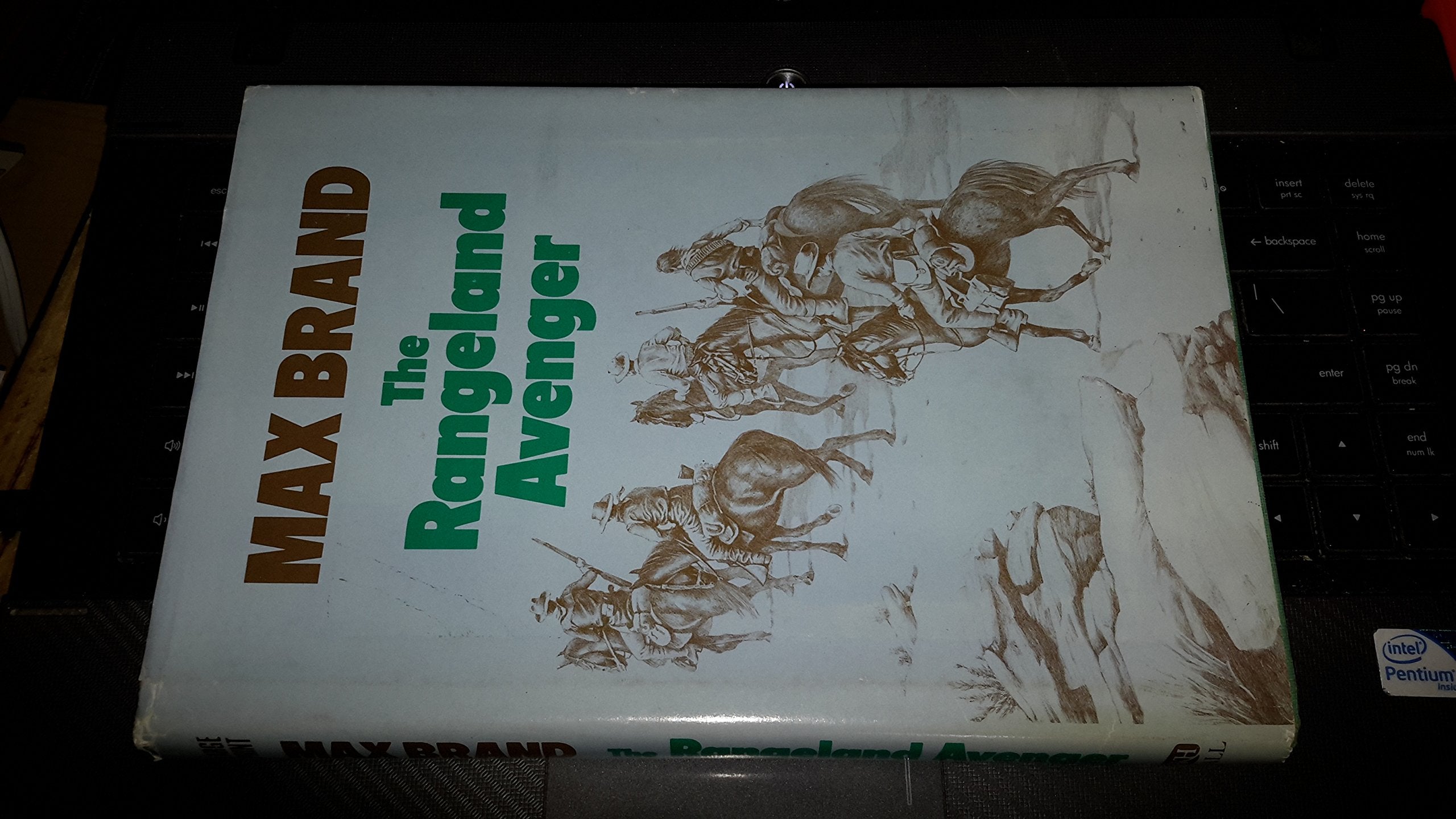 The rangeland avenger (G.K. Hall large print book series),Used