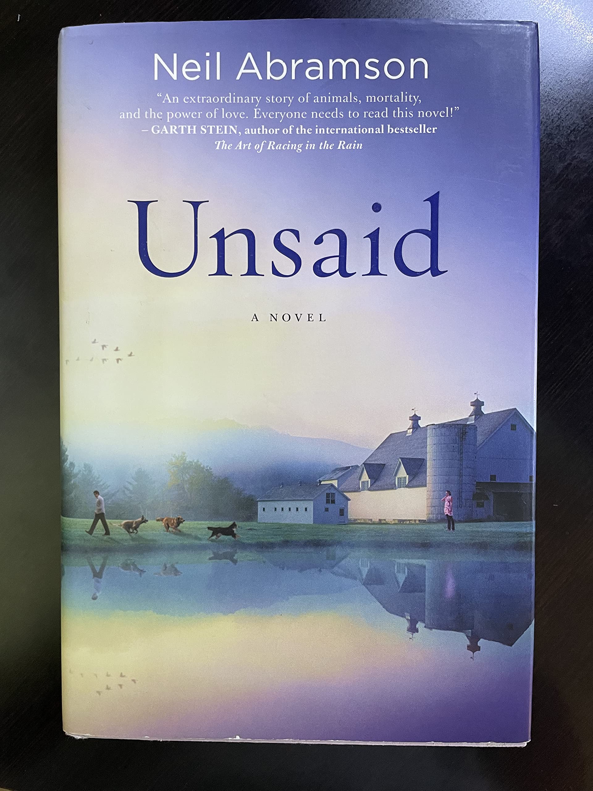Unsaid: A Novel