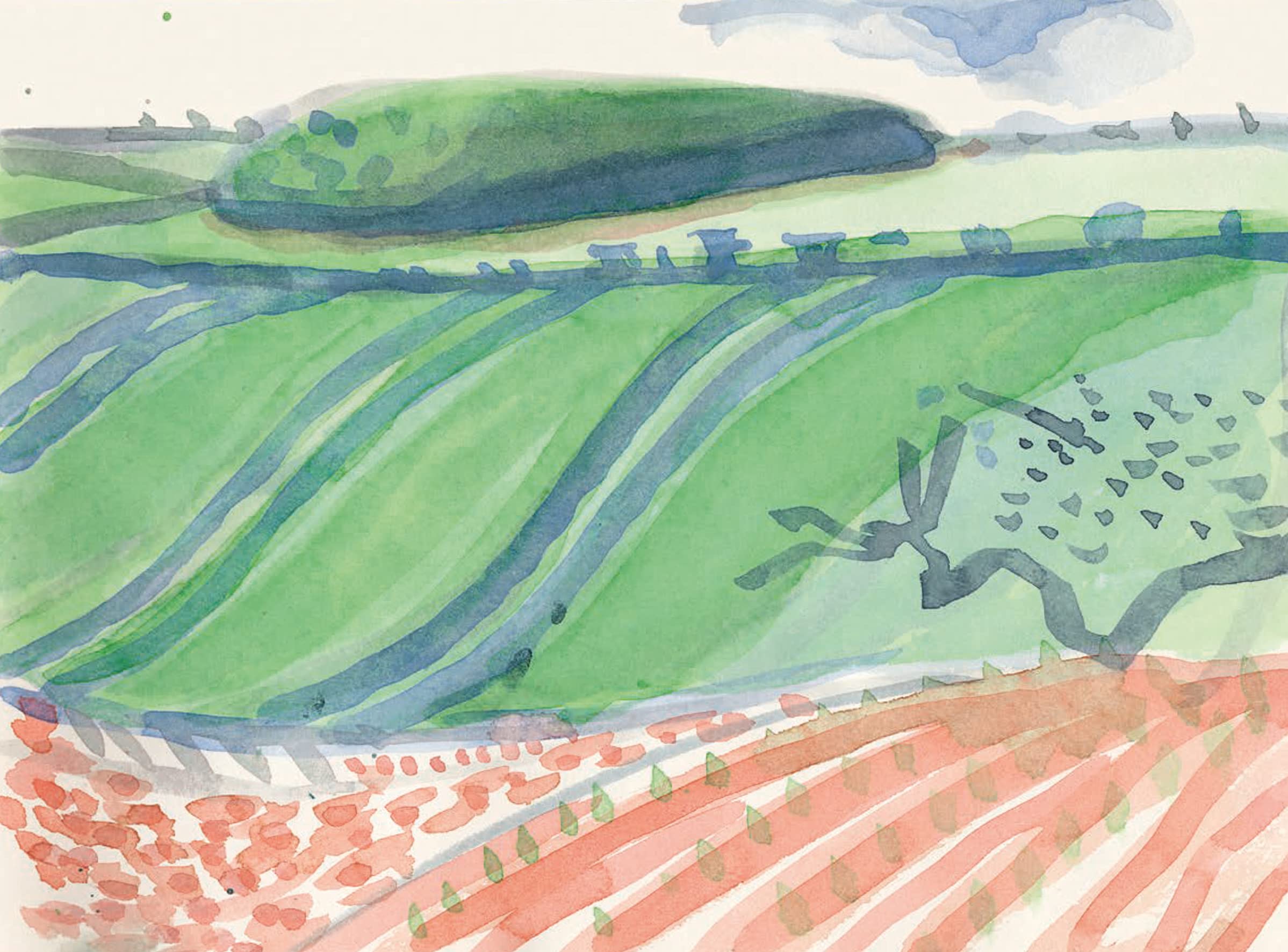 David Hockney: A Yorkshire Sketchbook,Used