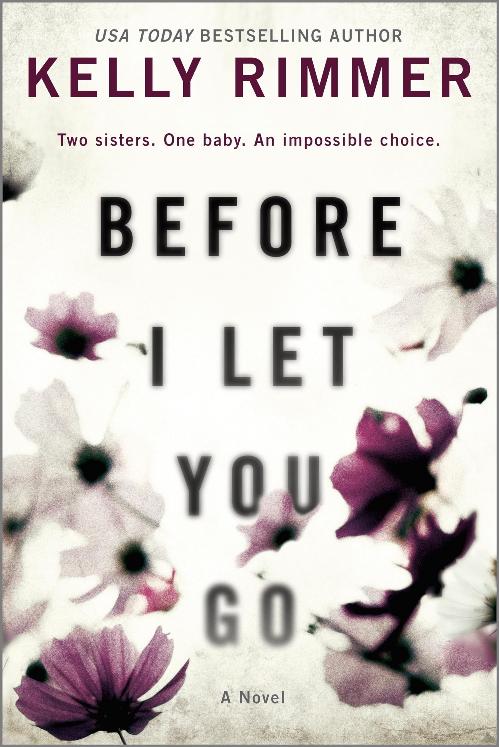 Before I Let You Go: A Novel,Used