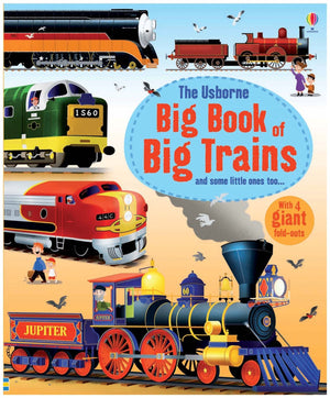Big Book Of Trains-used