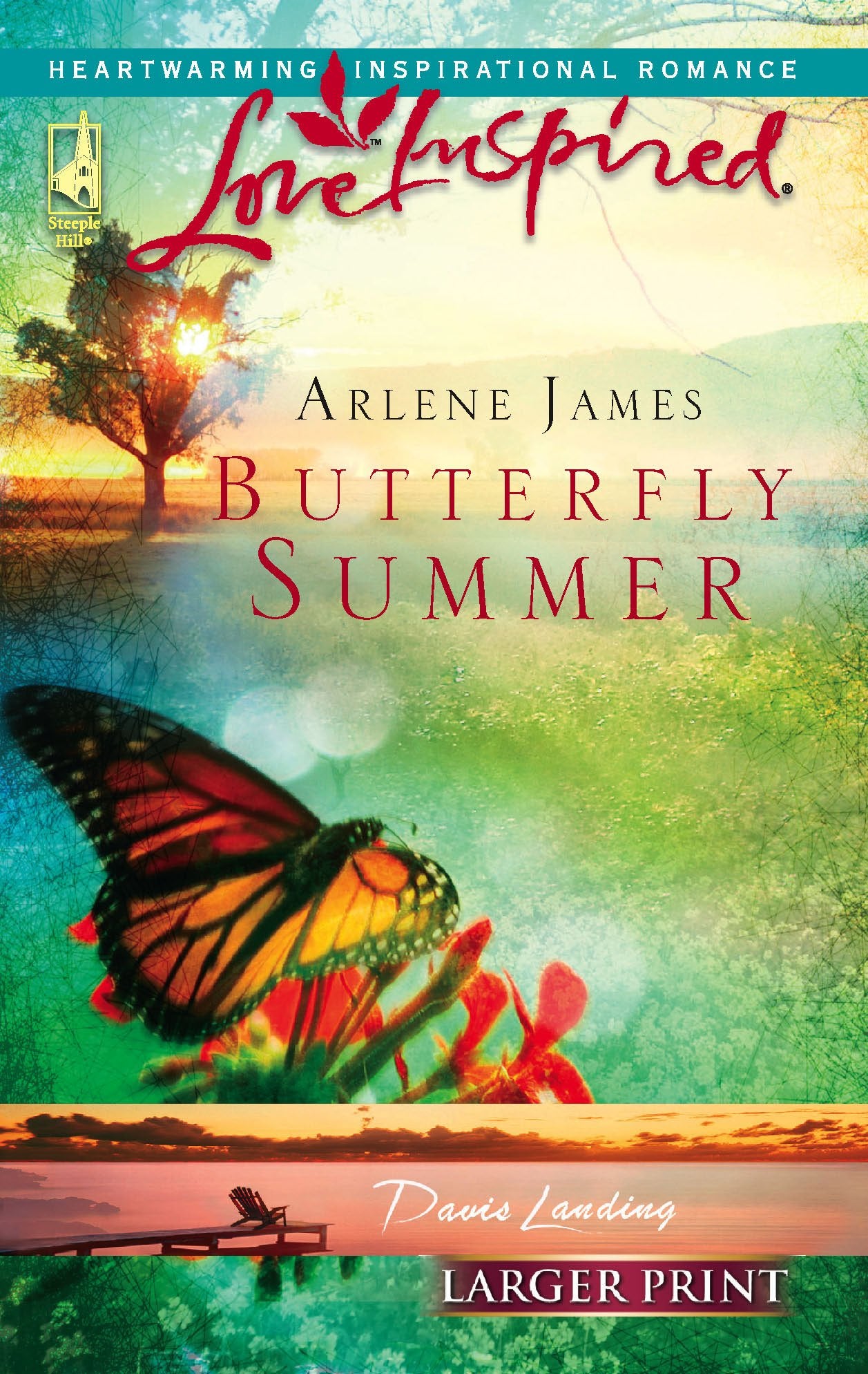 Butterfly Summer (Davis Landing, Book 1) (Larger Print Love Inspired #356),Used