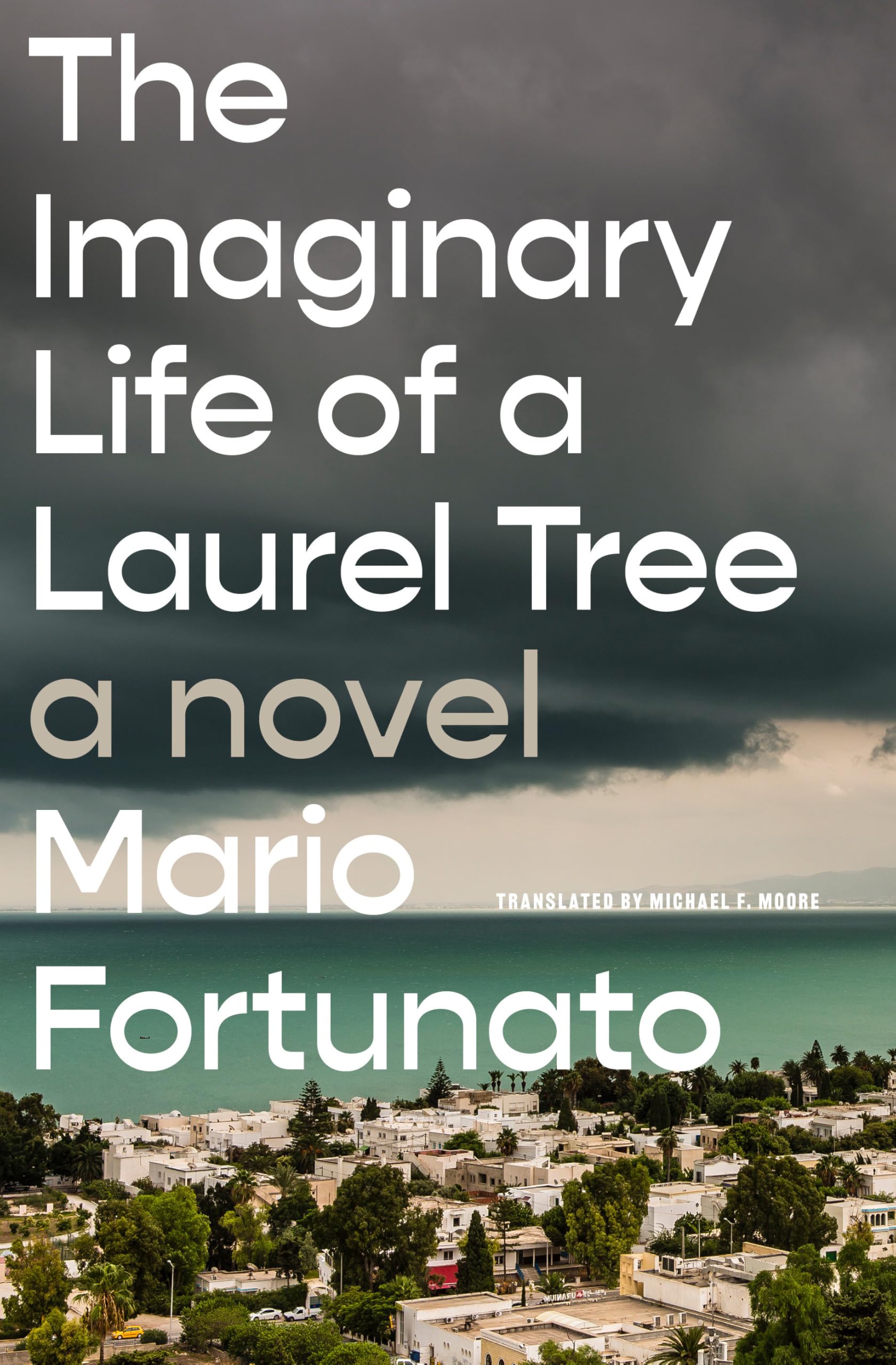 The Imaginary Life Of A Laurel Tree: A Novel