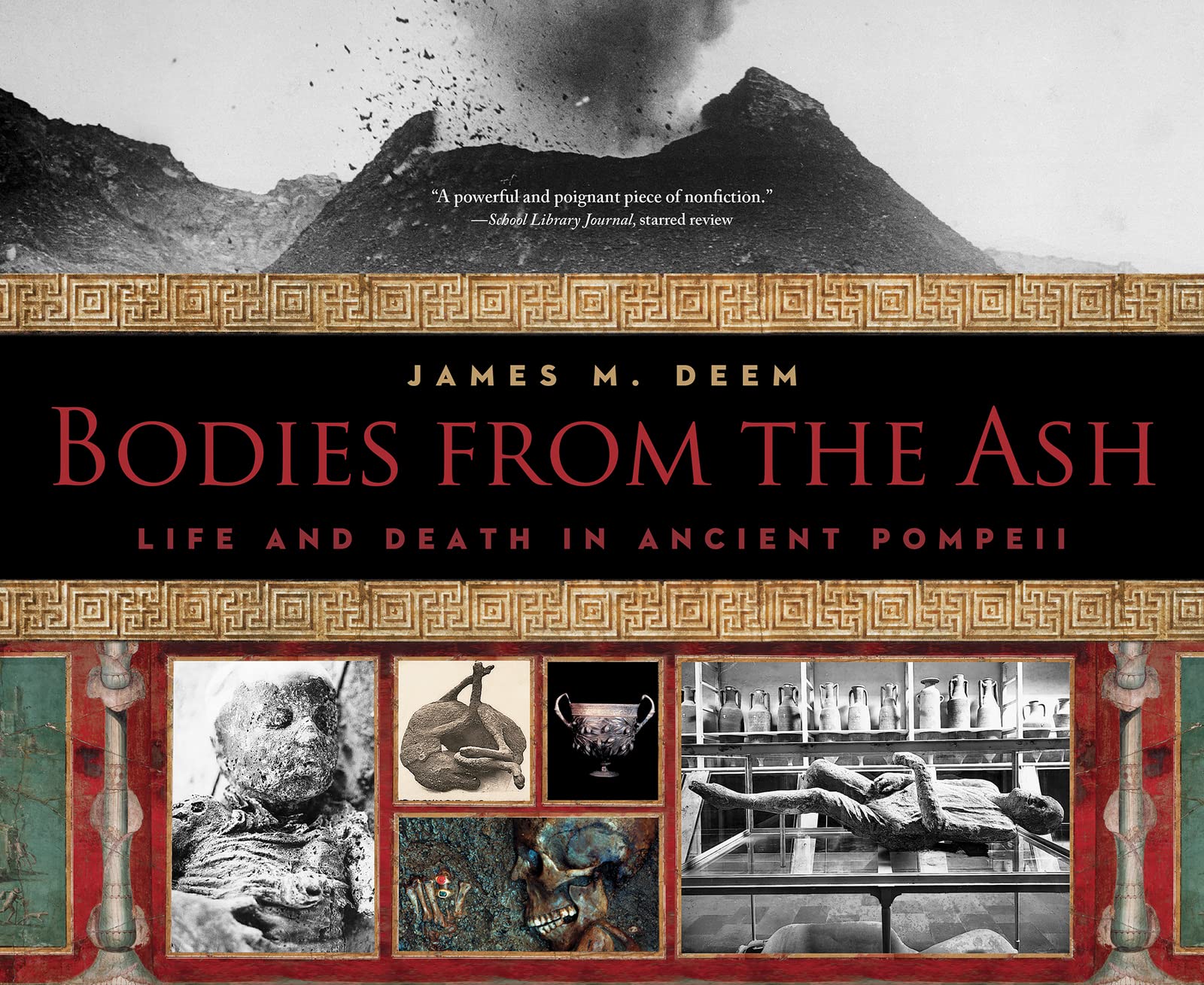 Bodies from the Ash: Life and Death in Ancient Pompeii,Used