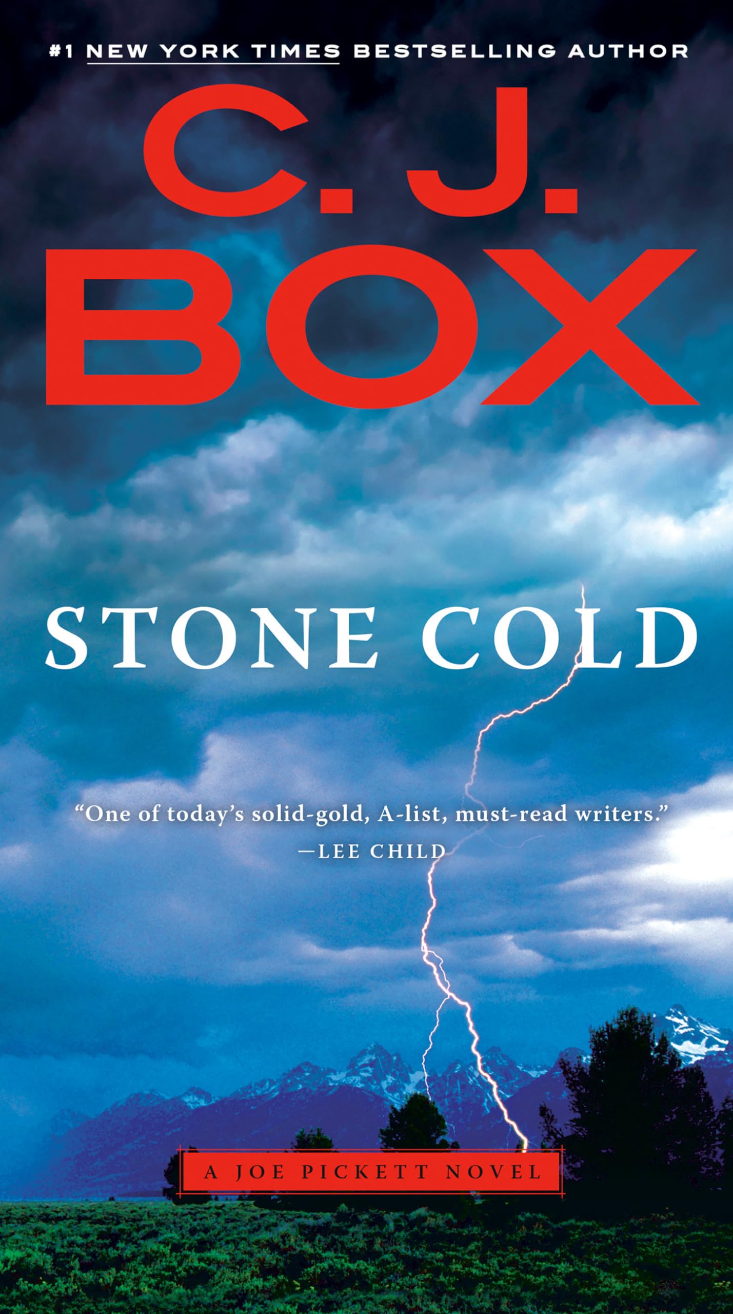 Stone Cold (A Joe Pickett Novel),Used