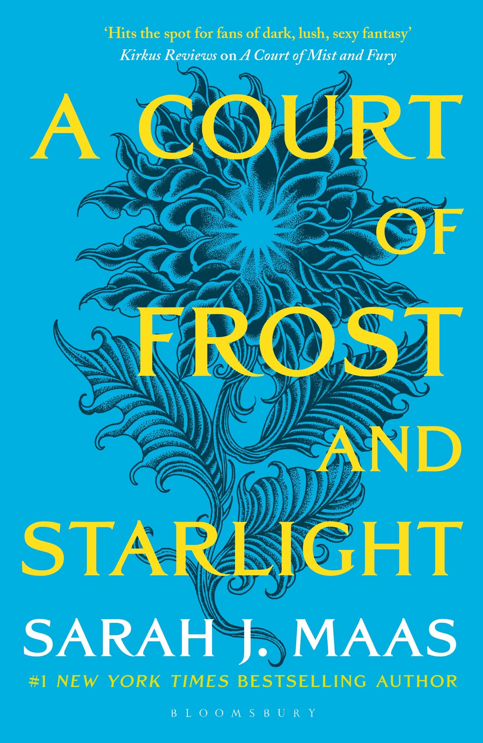 Court Of Frost & Starlight,Used