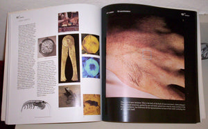 Powers of Ten (Revised) (Scientific American Library Paperback),Used