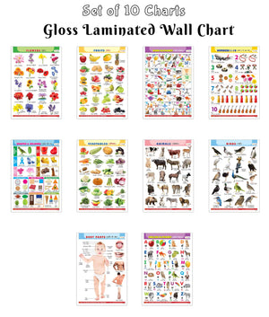 Kids Learning Chart English-Hindi:Alphabet, Fruits, Vegetables, Animals, Birds, Body Parts,Numbers,Hindi Varnmala,Shapes &Colours And Flowersgloss Lamination (Pack Of 10)-Educational Posters For Kids