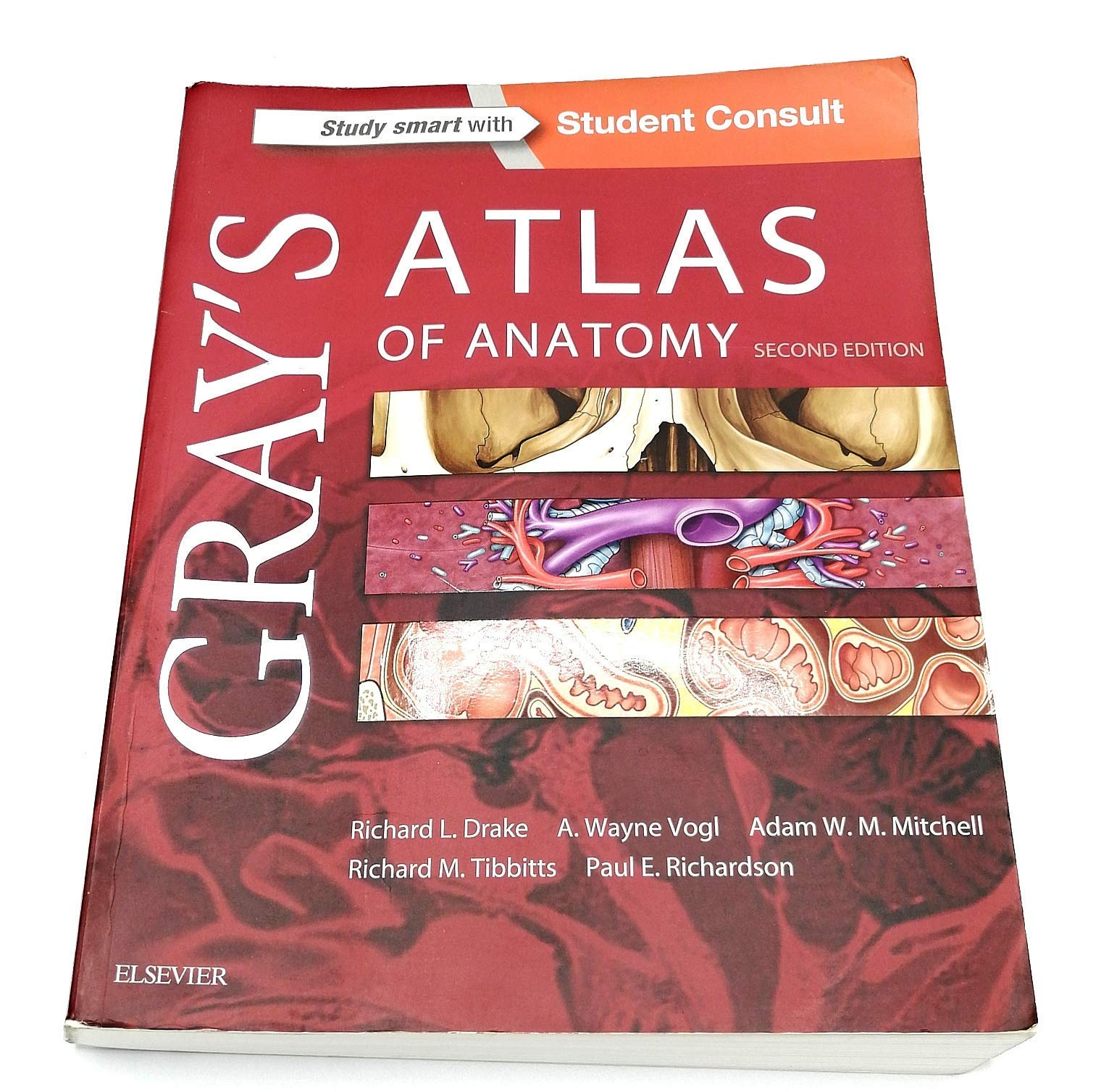 Grays Atlas of Anatomy, 2e