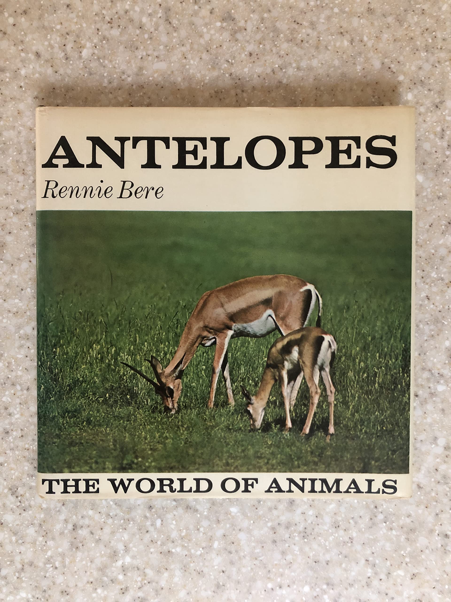 Antelopes (The World of animals),Used