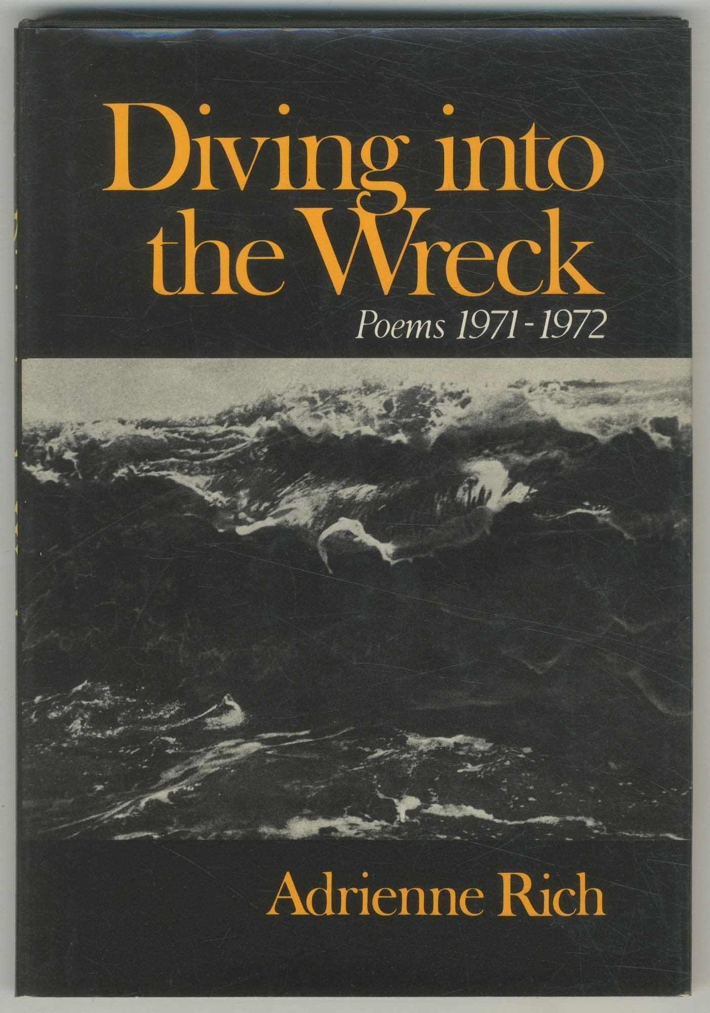 Rich Diving into the Wreck (Cloth),Used