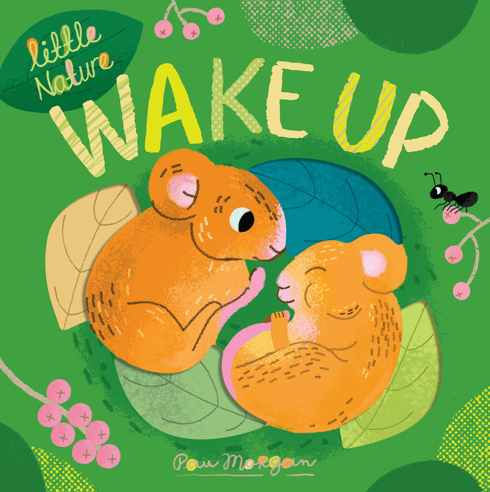 Wake Up: 3 (Little Nature, 3),Used