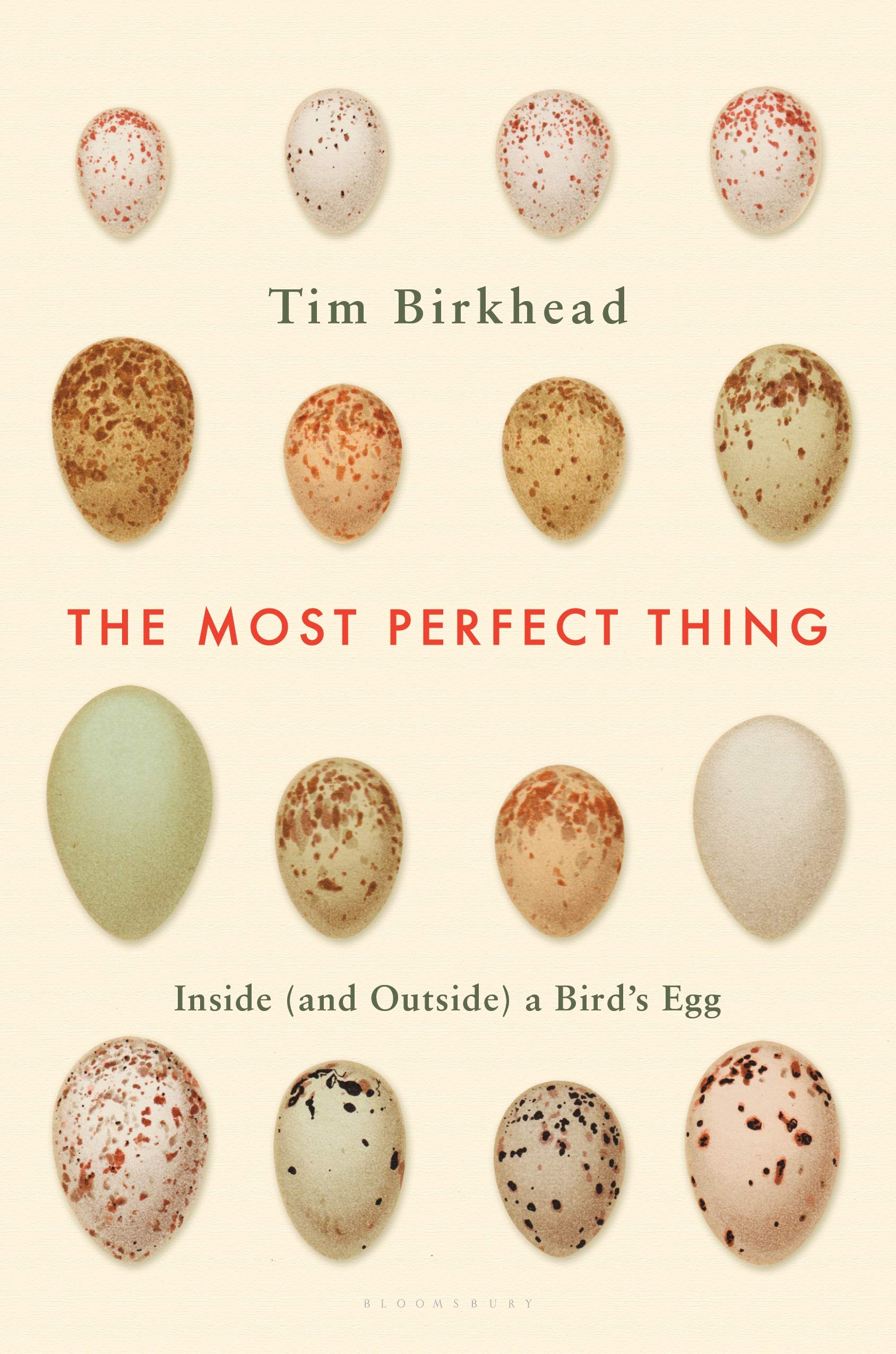 The Most Perfect Thing: Inside (and Outside) a Birds Egg,Used
