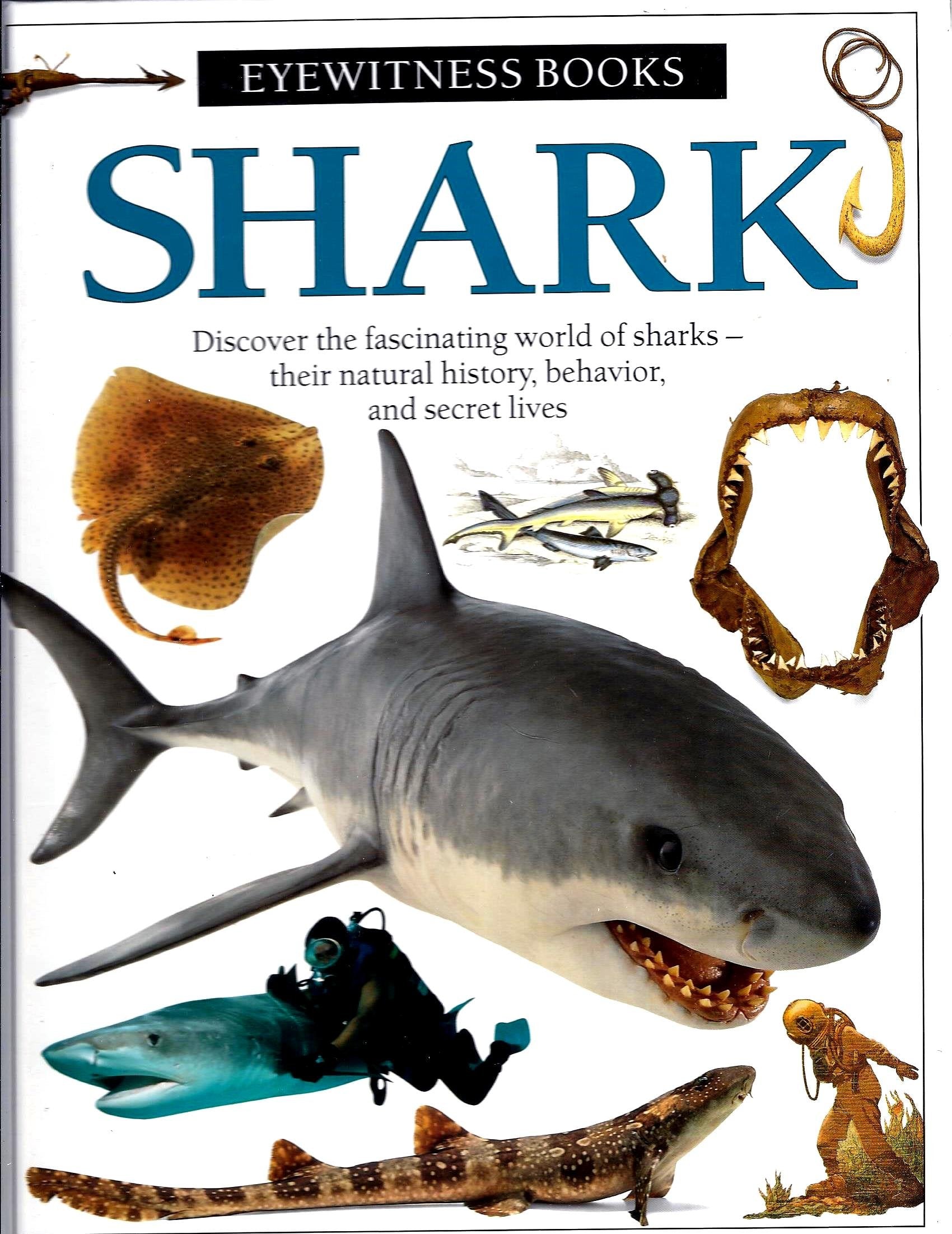 Shark (DK Eyewitness Books),Used