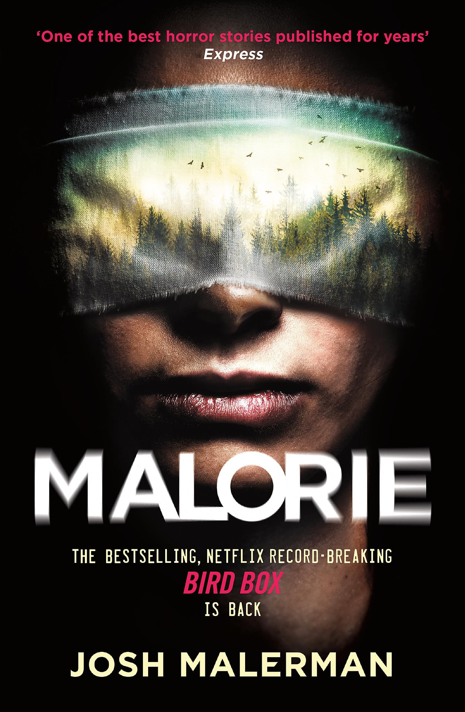 Malorie,Used