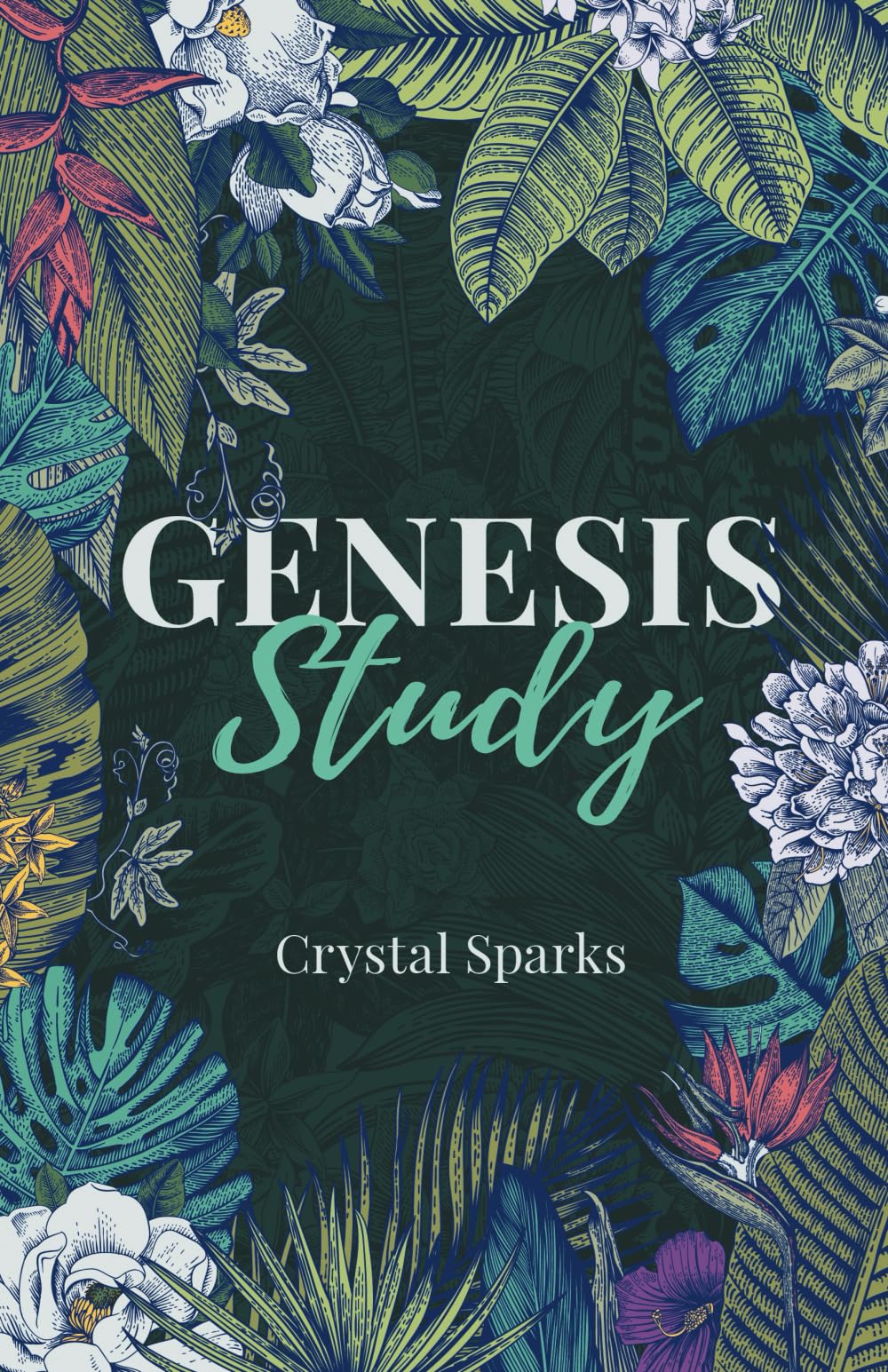 Genesis Study: A Beginners Study Guide into the Book of Genesis,Used