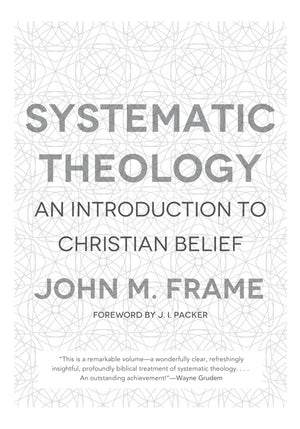 Systematic Theology: An Introduction to Christian Belief,Used