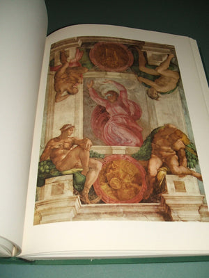 Michelangelo, the painter.,Used