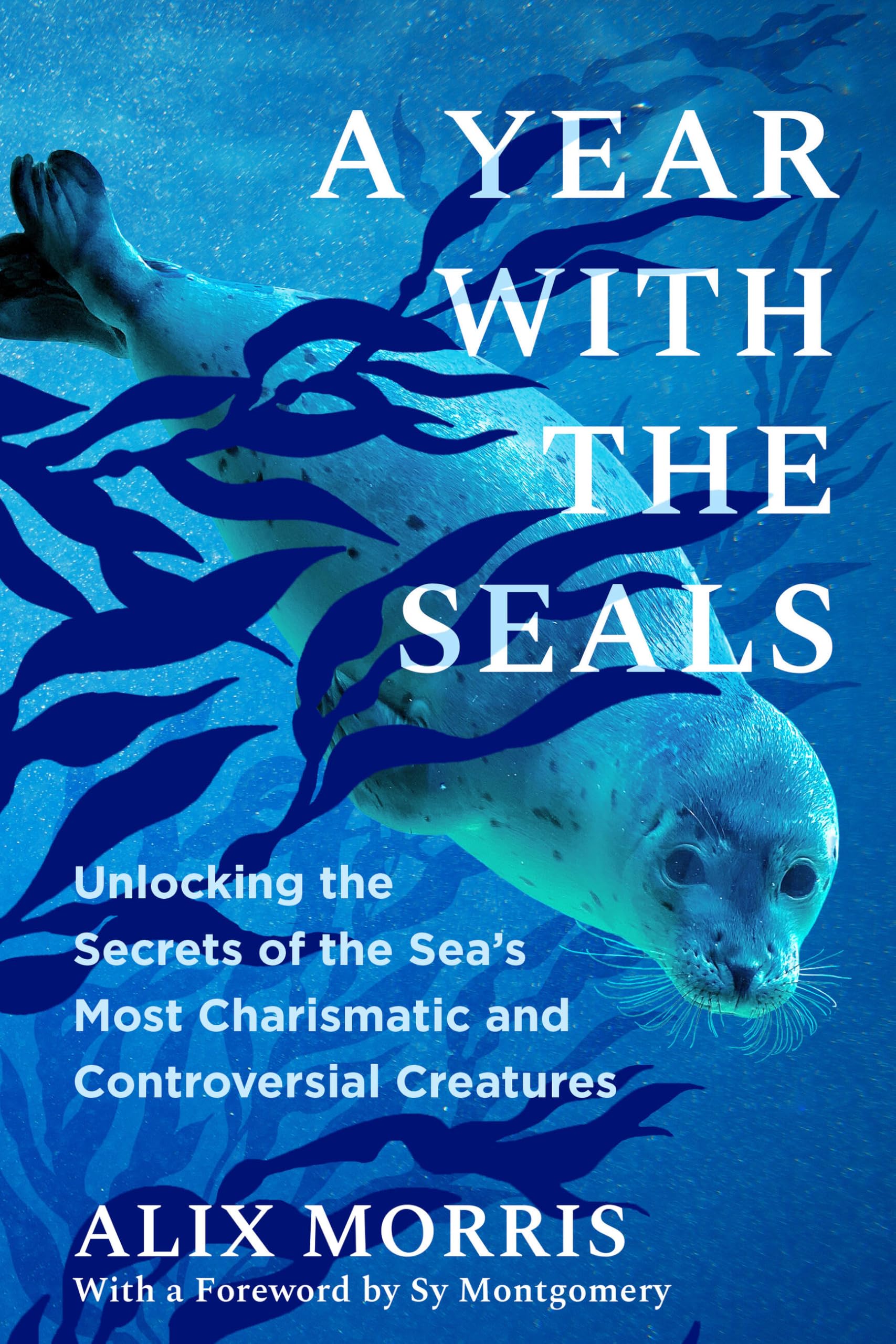 Year With The Seals