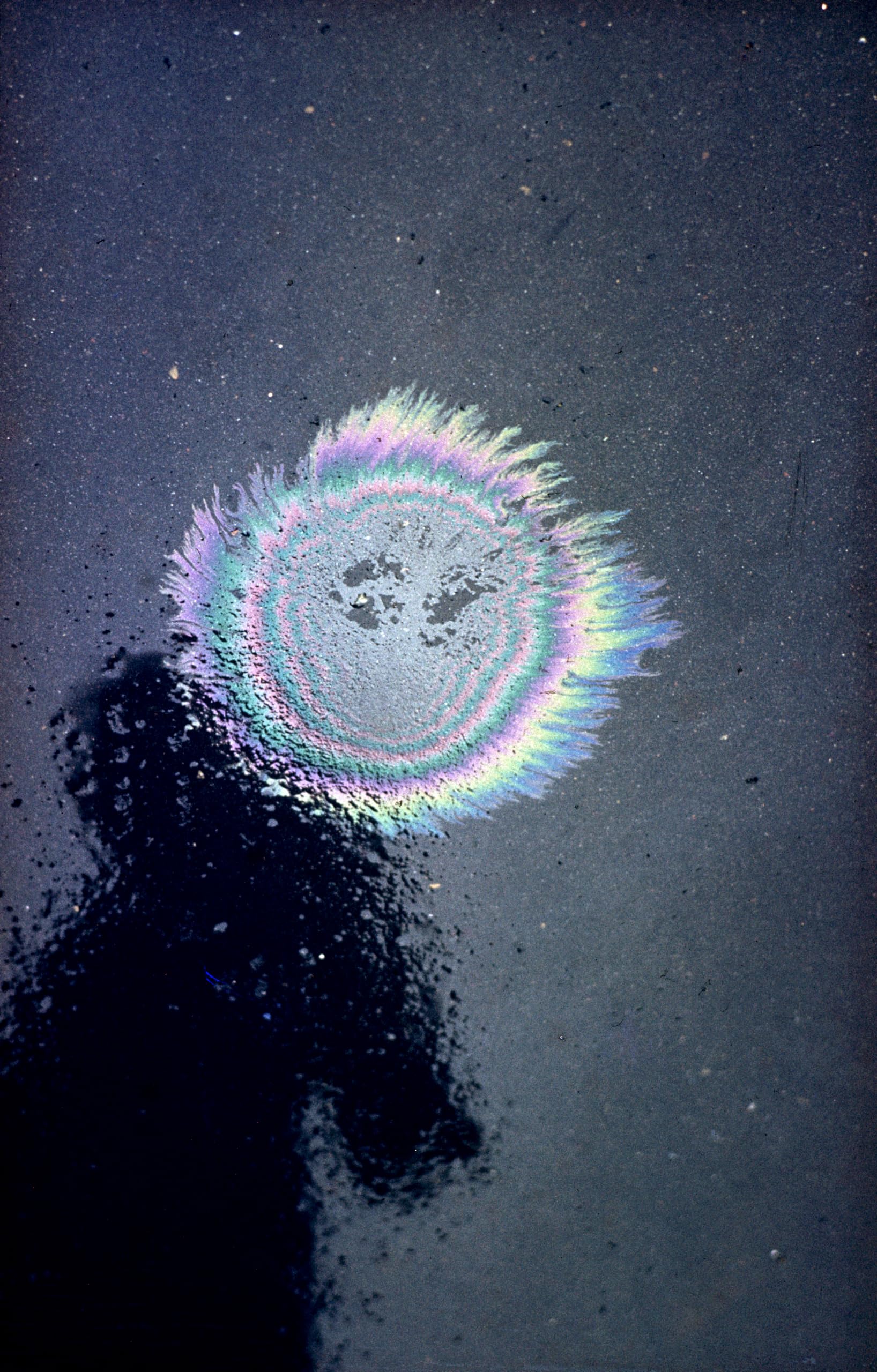 Ernst Haas: Abstract,New