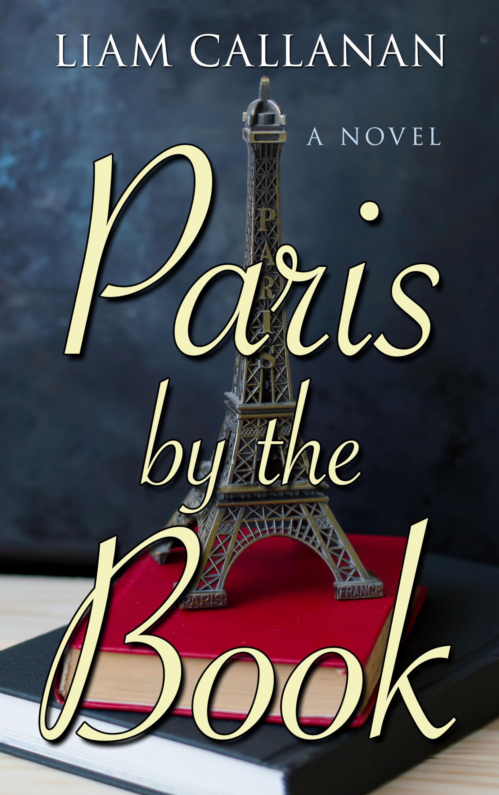 Paris by the Book (Thorndike Press Large Print Basic),Used