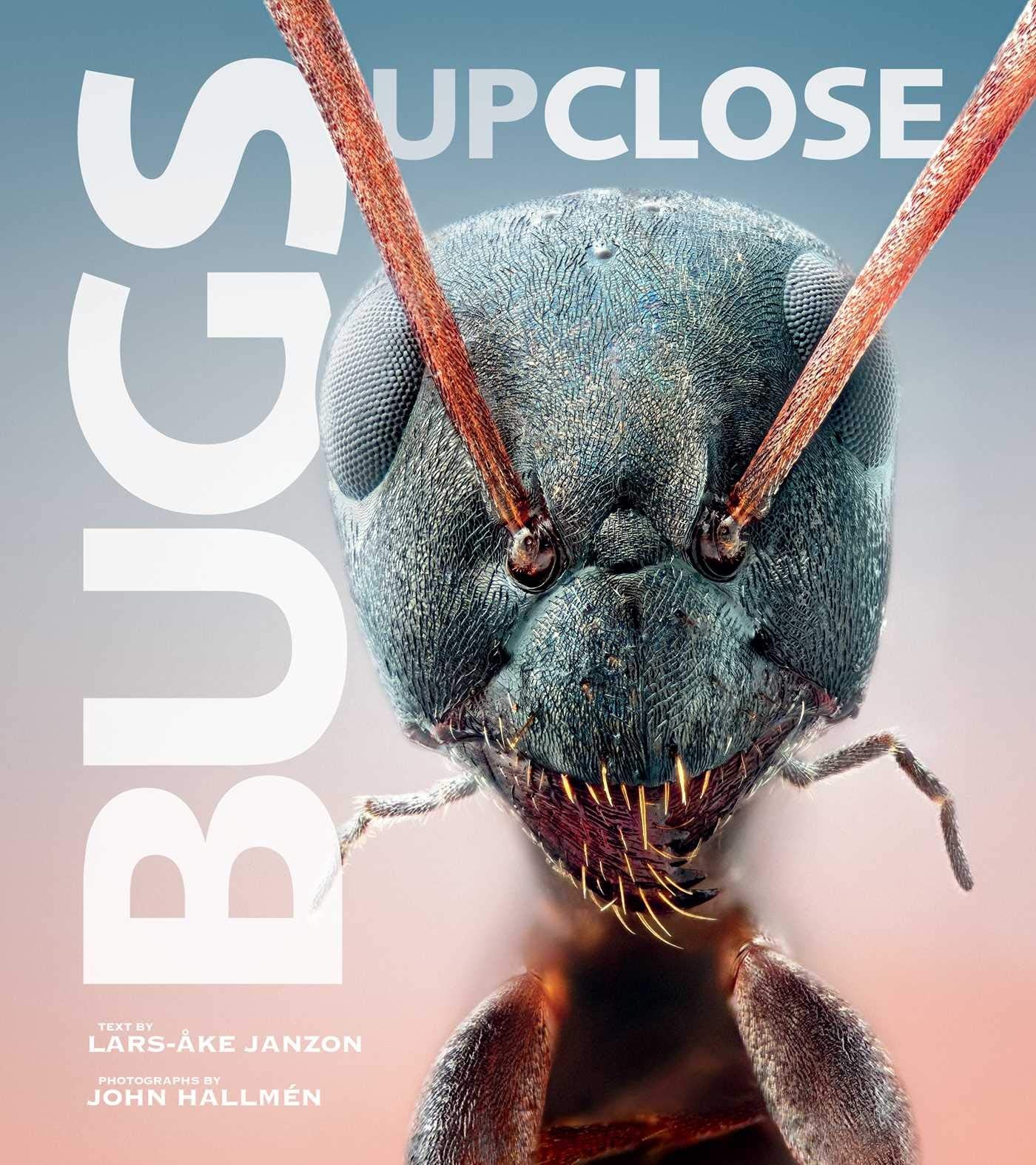 Bugs Up Close: A Magnified Look At The Incredible World Of Insects