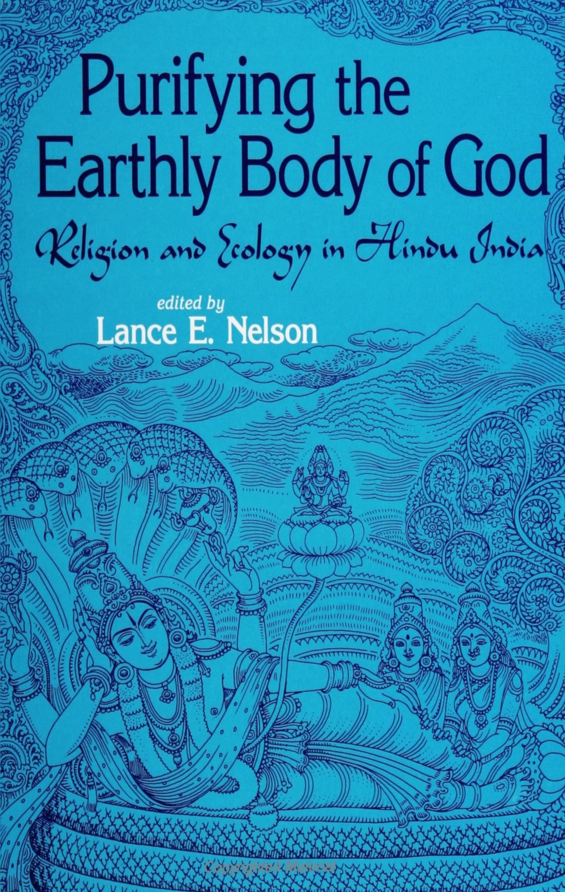 Purifying the Earthly Body of God: Religion and Ecology in Hindu India (SUNY Series in Religious Studies),Used