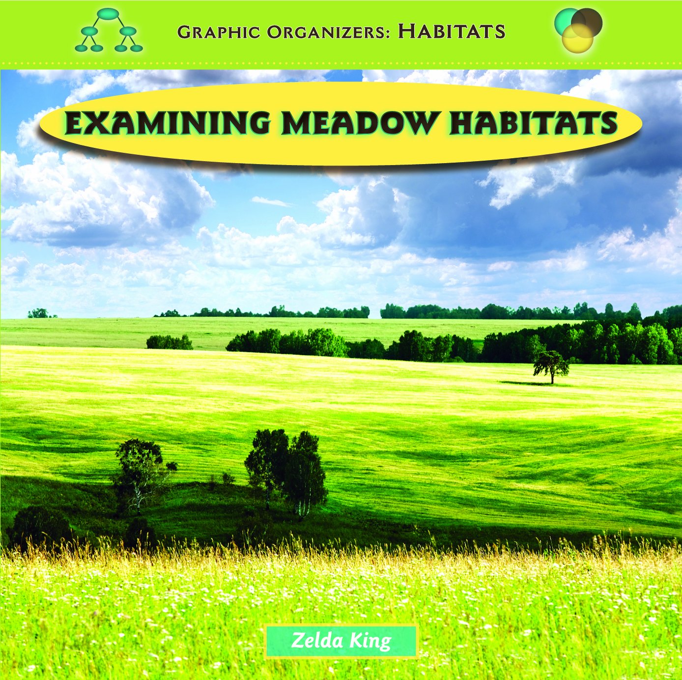 Examining Meadow Habitats (Graphic Organizers : Habitats),Used