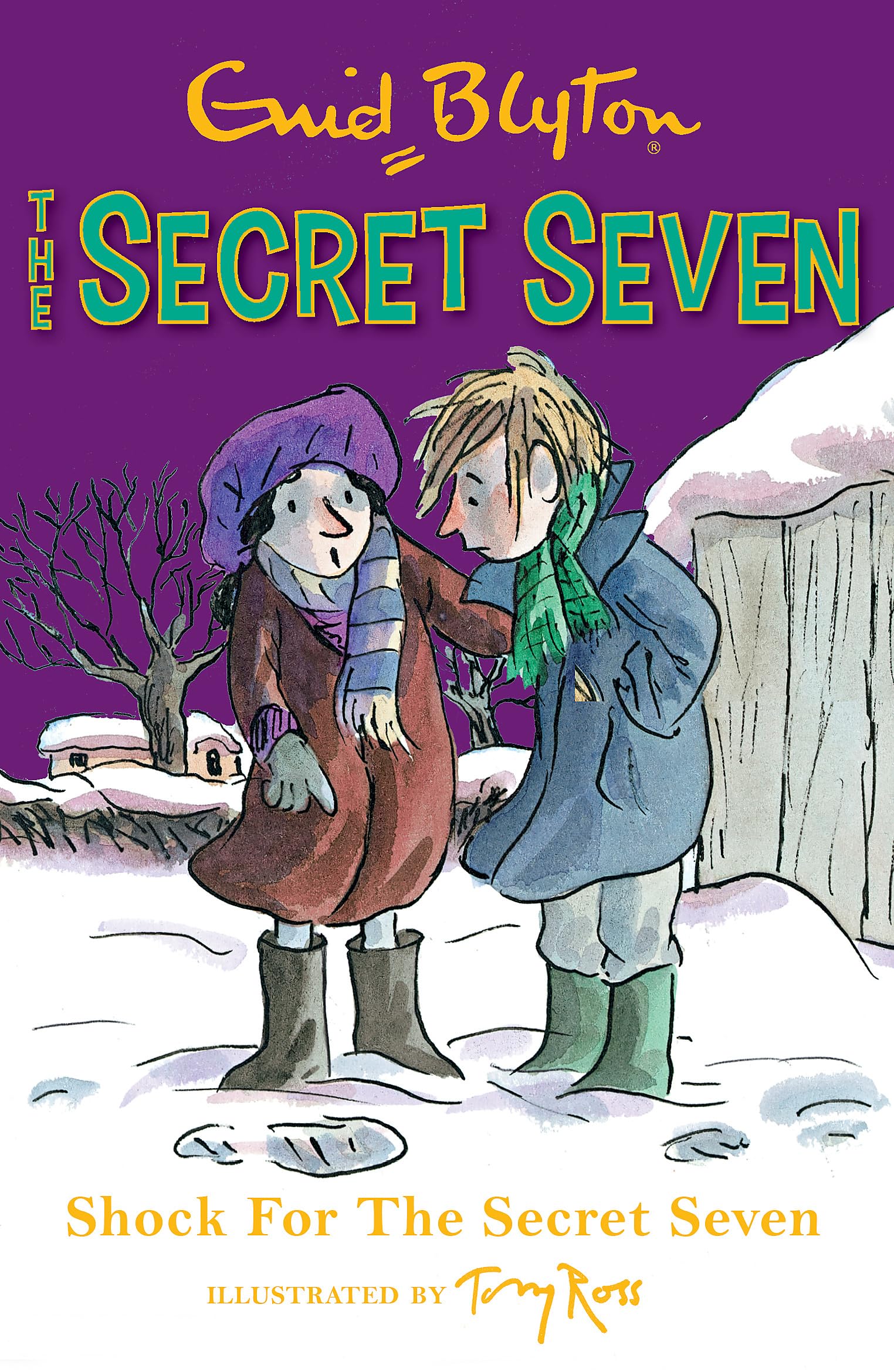 Shock For The Secret Seven: Book 13,Used