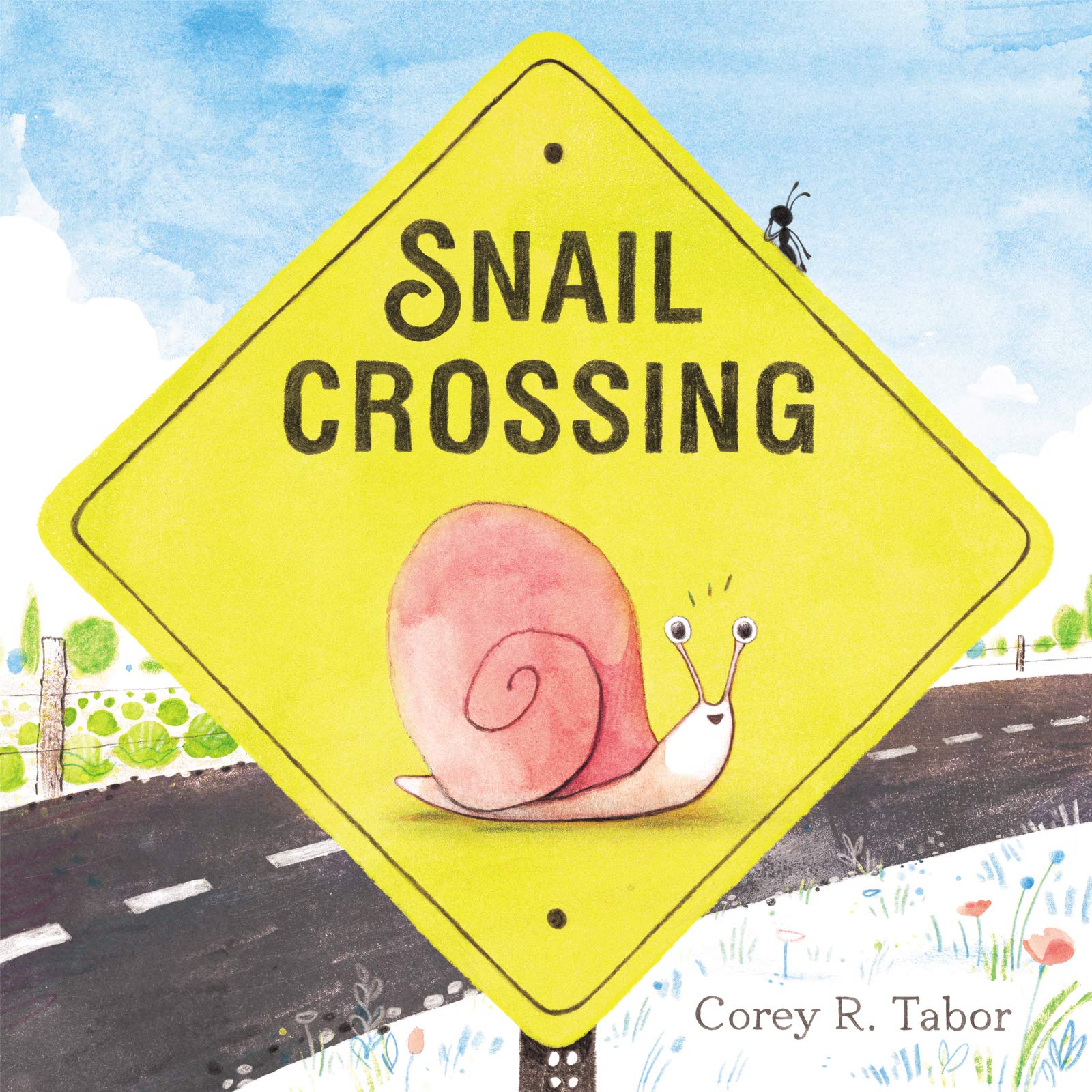 Snail Crossing,Used