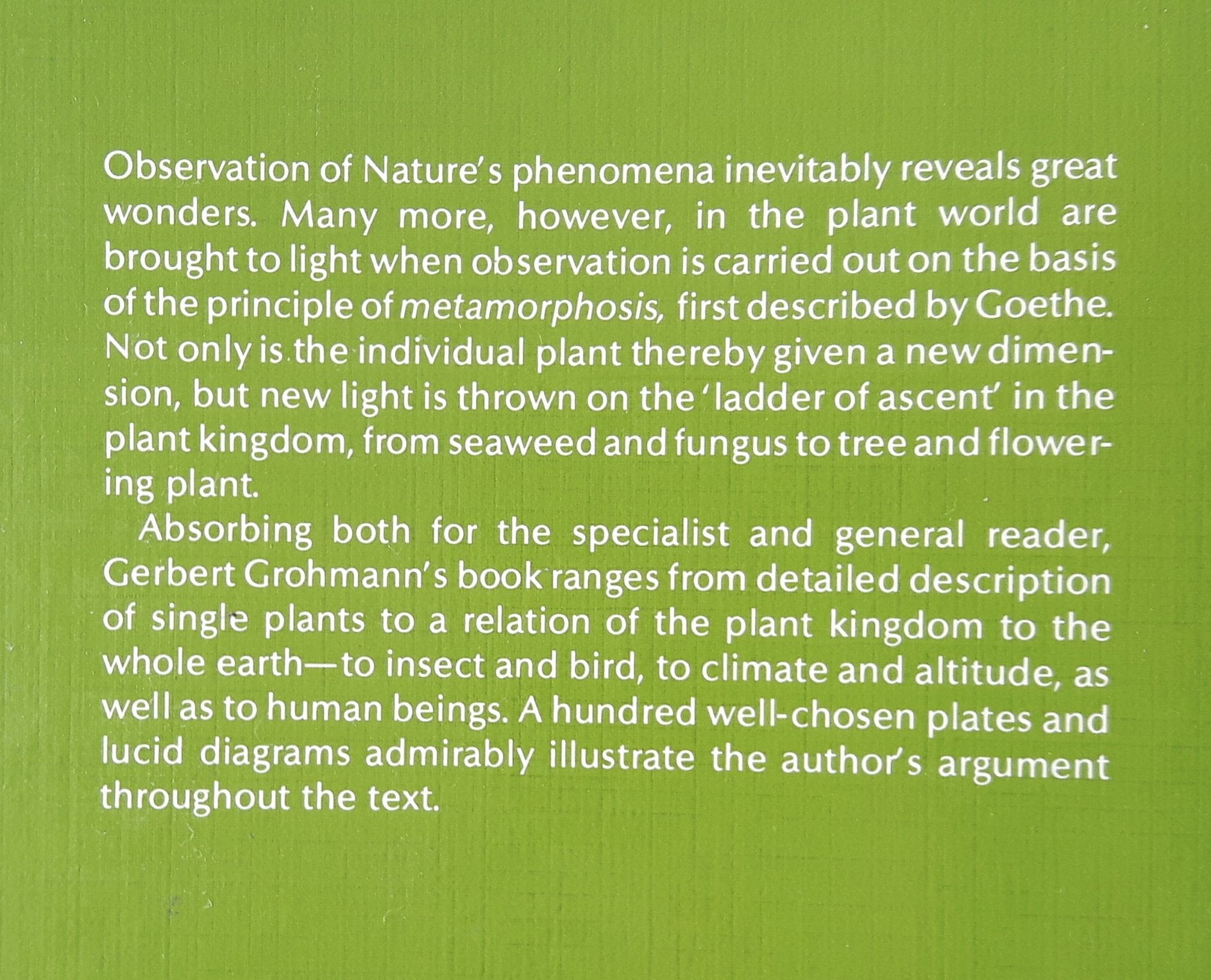 The Plant, Vol. 1,Used