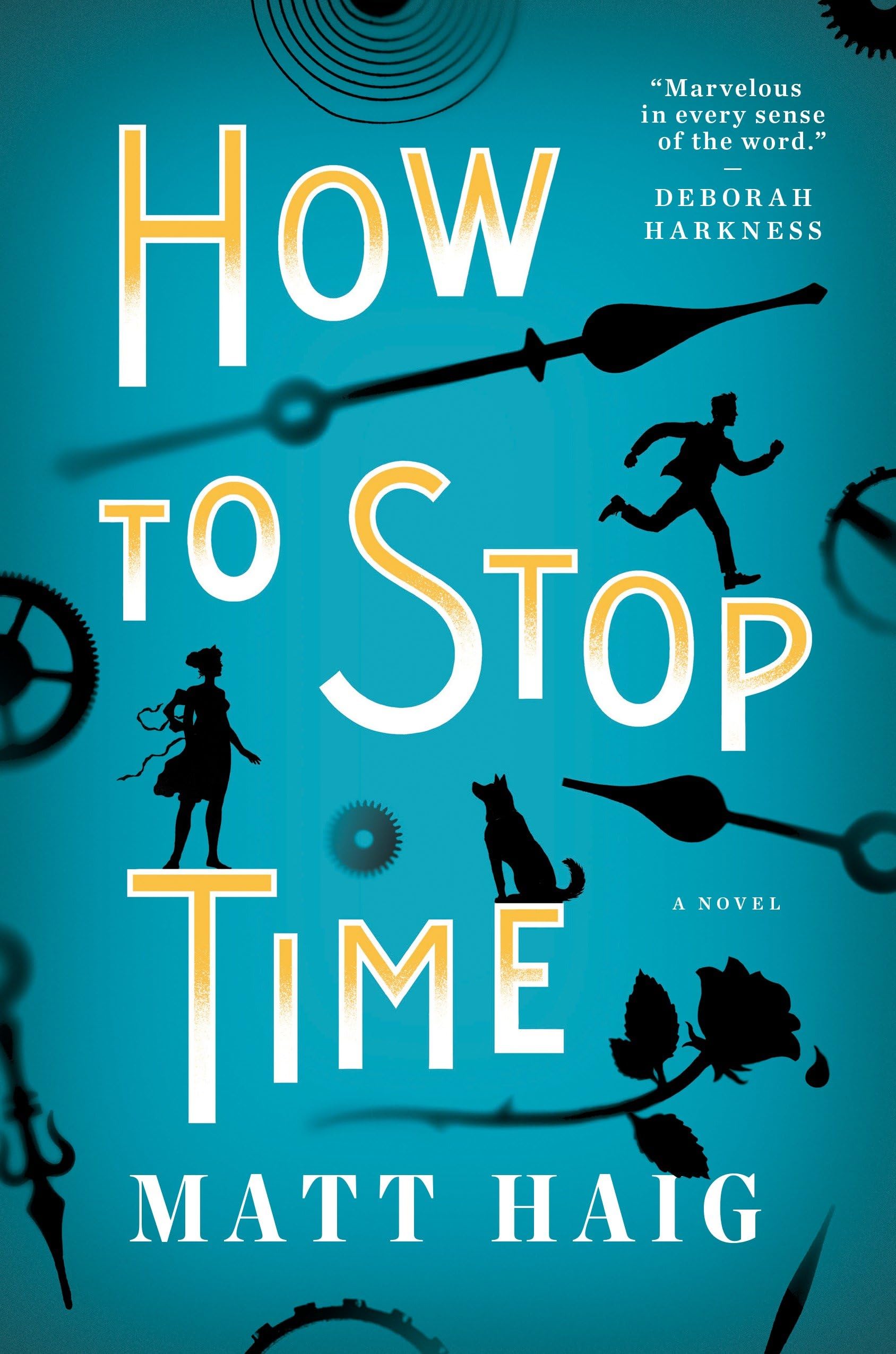 How to Stop Time,Used