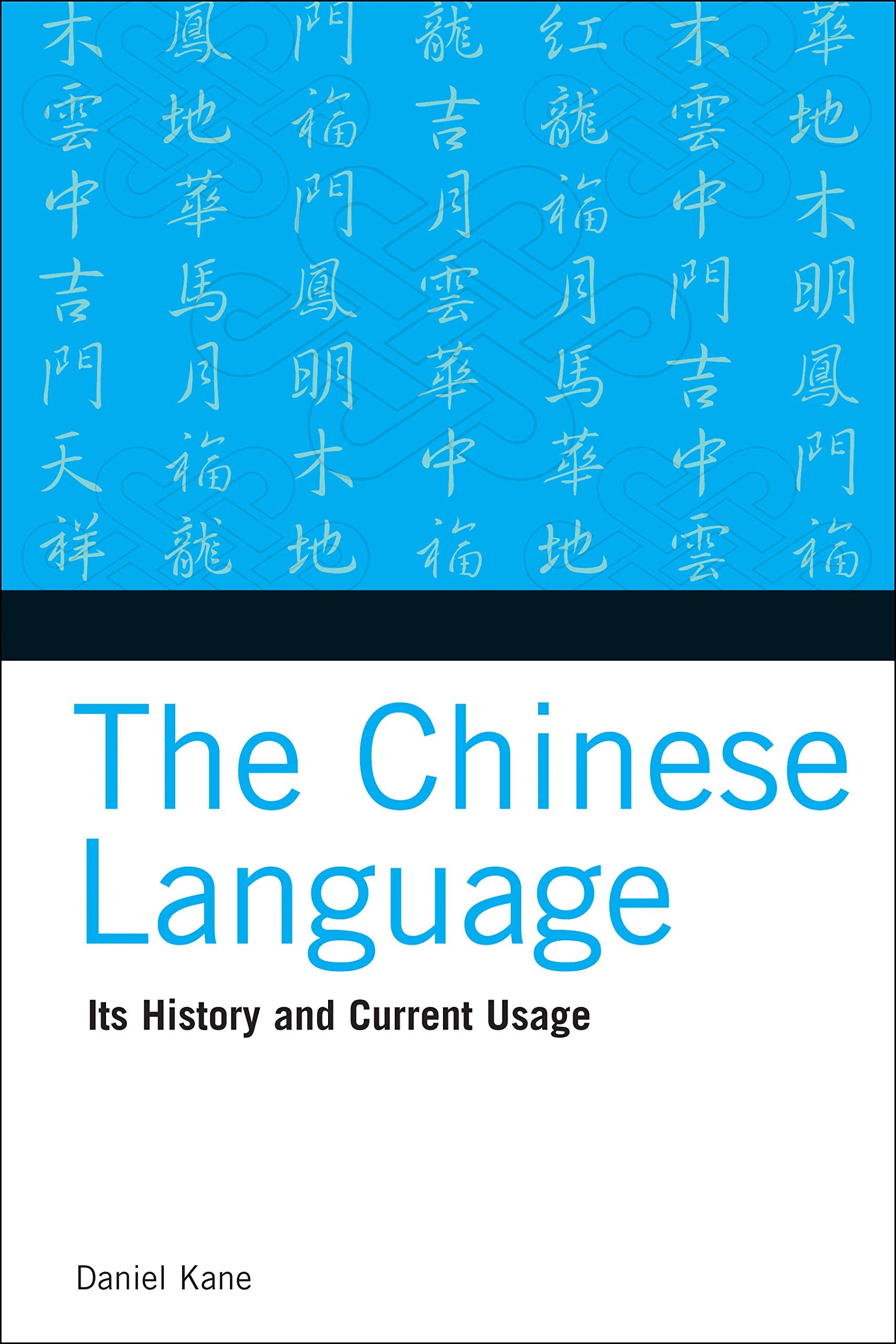 The Chinese Language: Its History and Current Usage,Used
