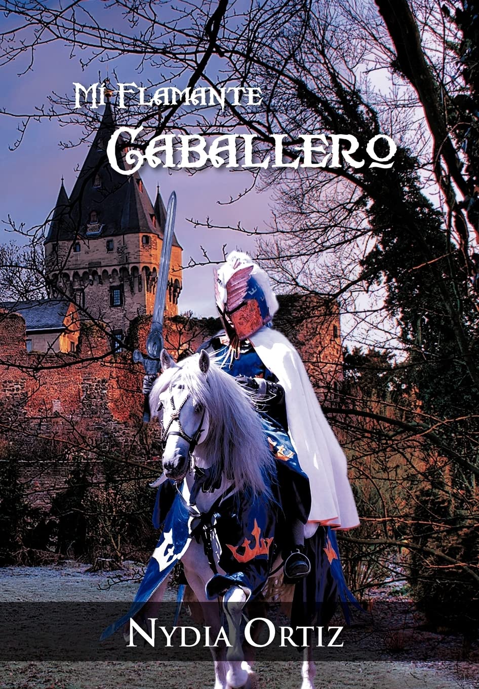 Mi Flamante Caballero (Spanish Edition),Used
