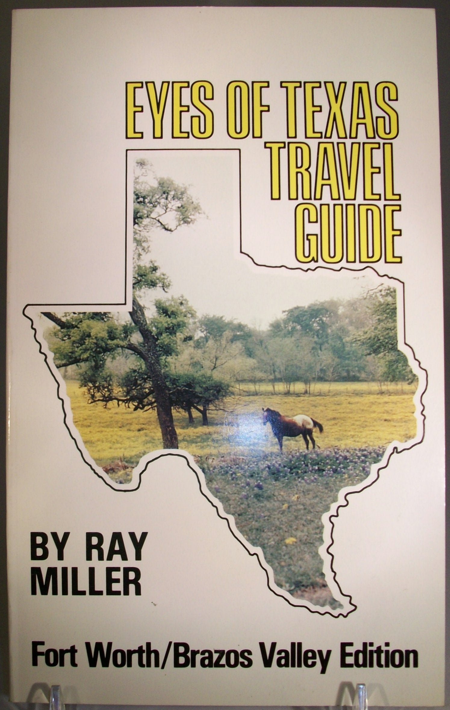 Eyes of Texas Travel Guide: Forth Worth/Brazos Valley Edition,Used